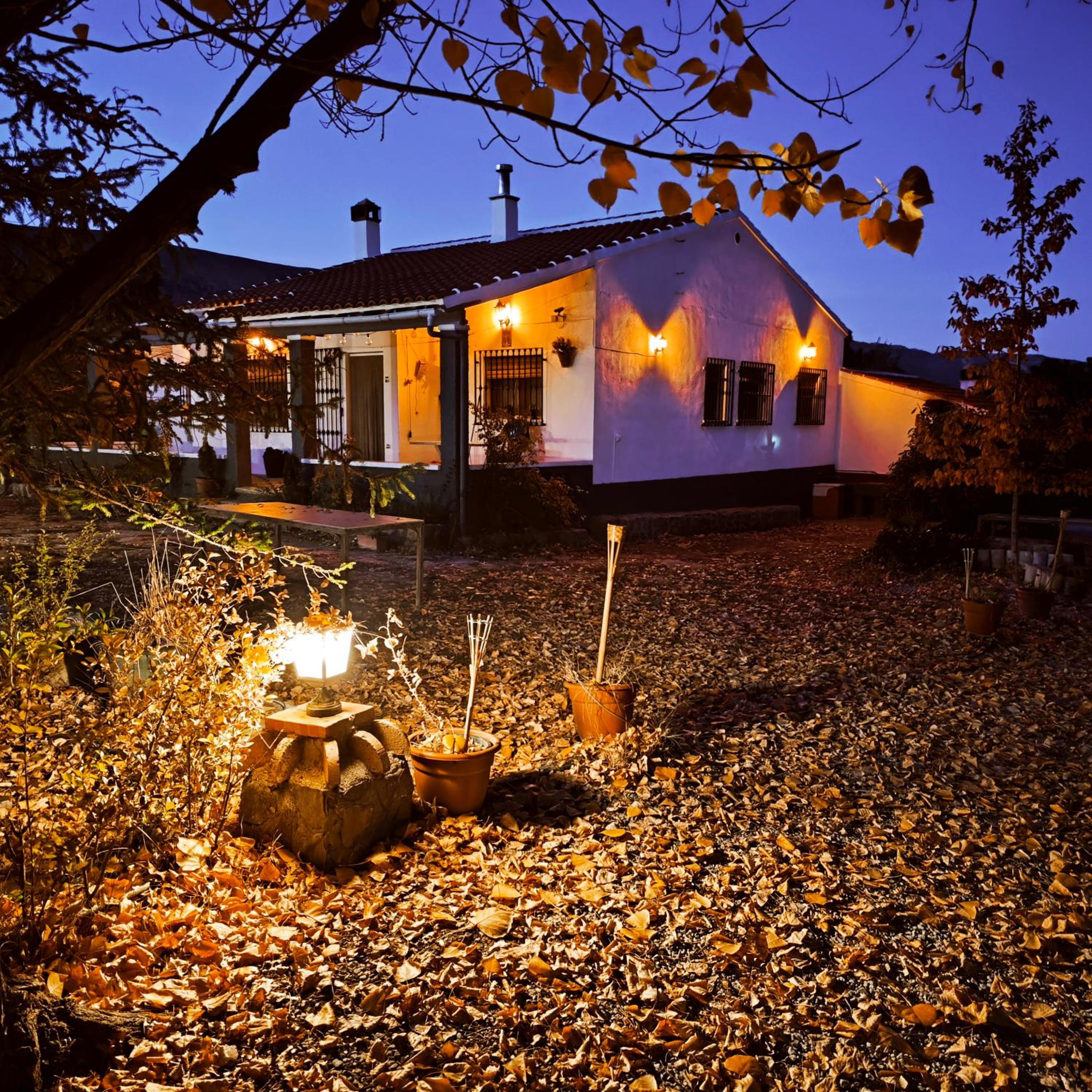 Chalet photo 2