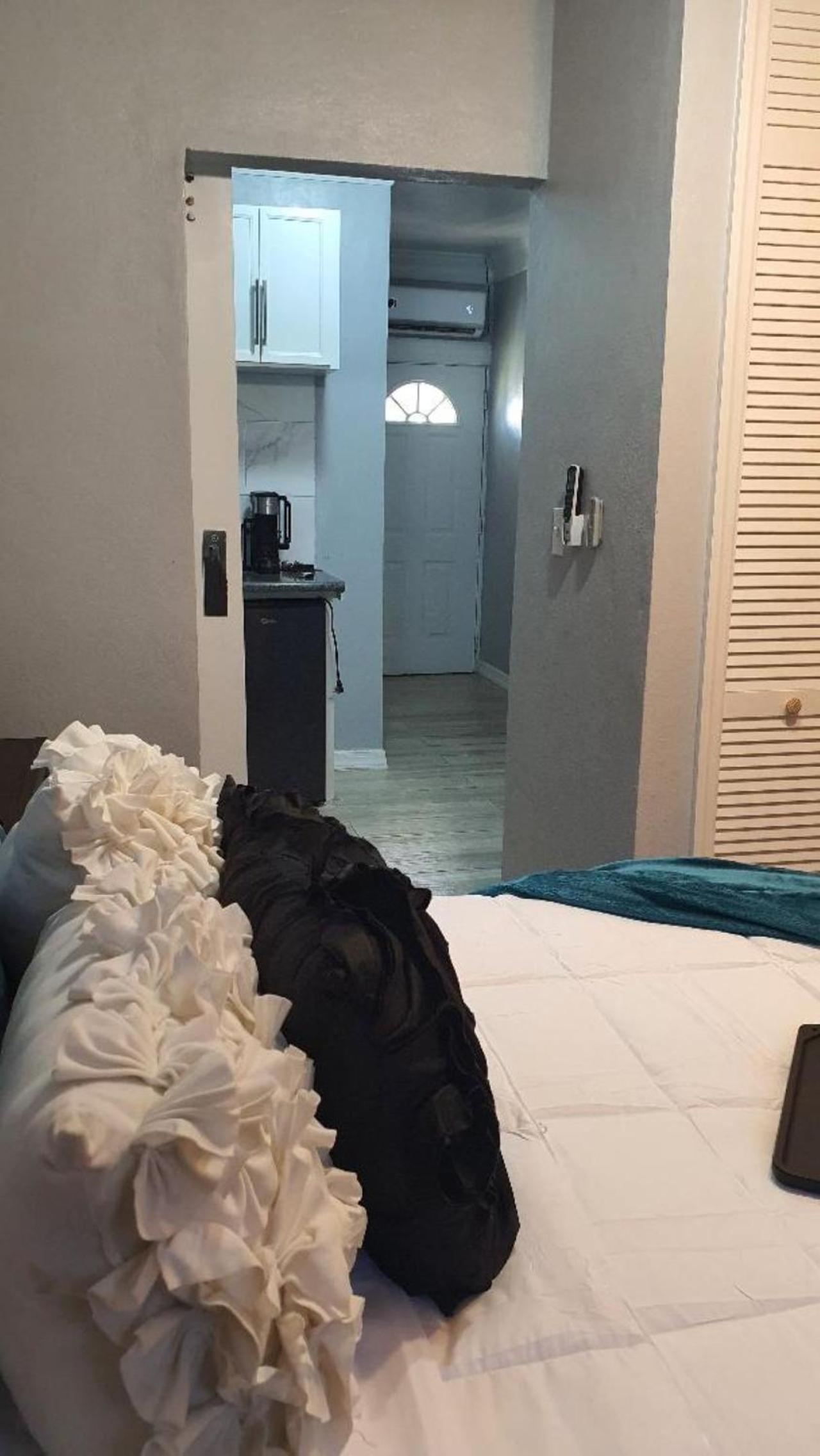 One-Bedroom Apartment photo 3