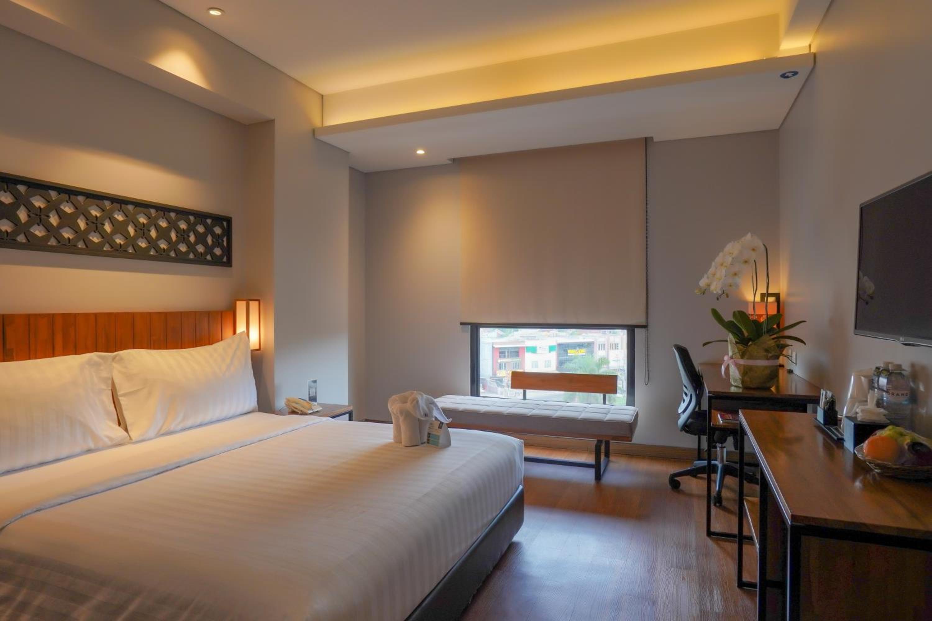 Double Room photo 1