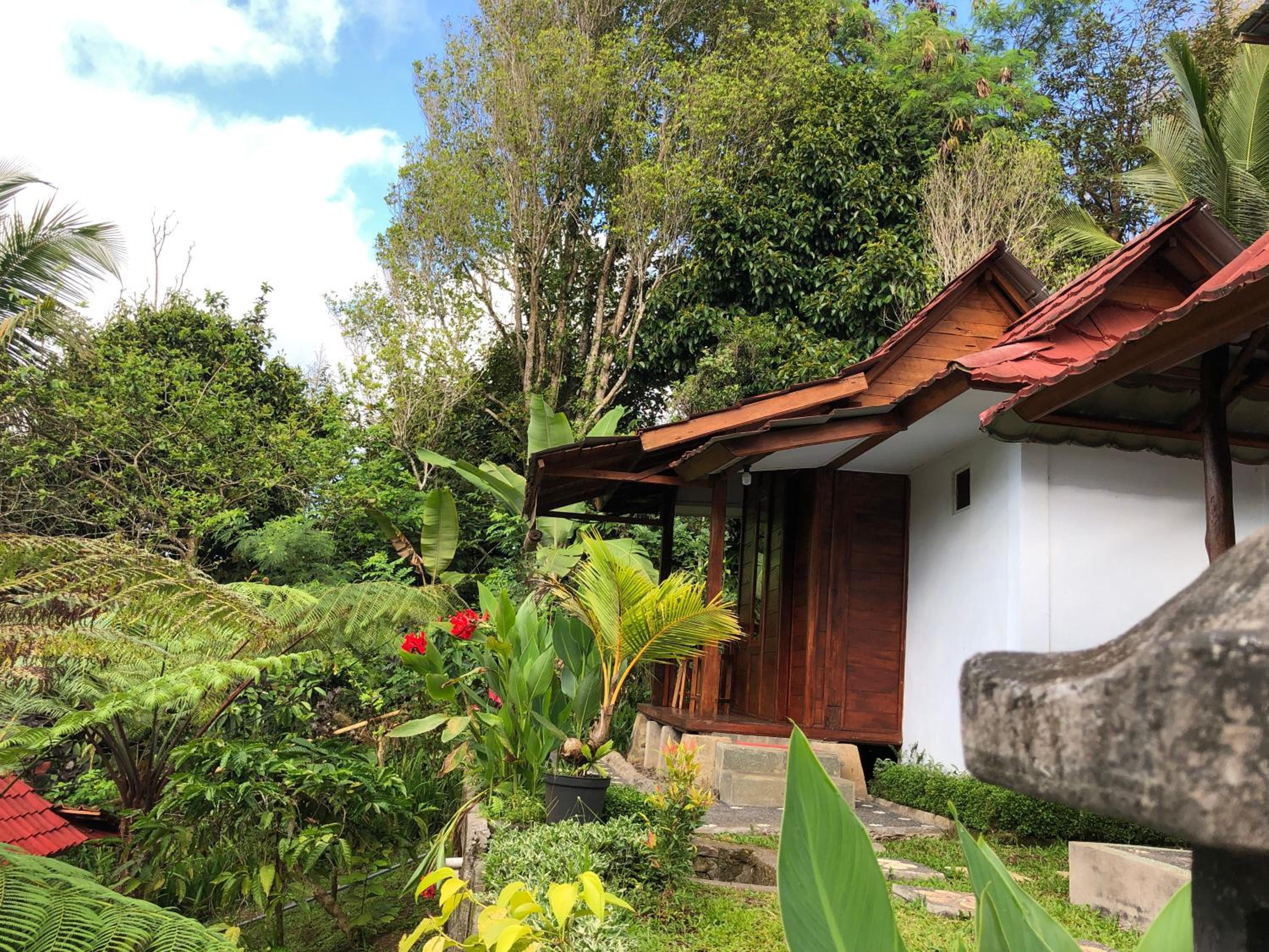 Queen Room with Garden View - Photo 11