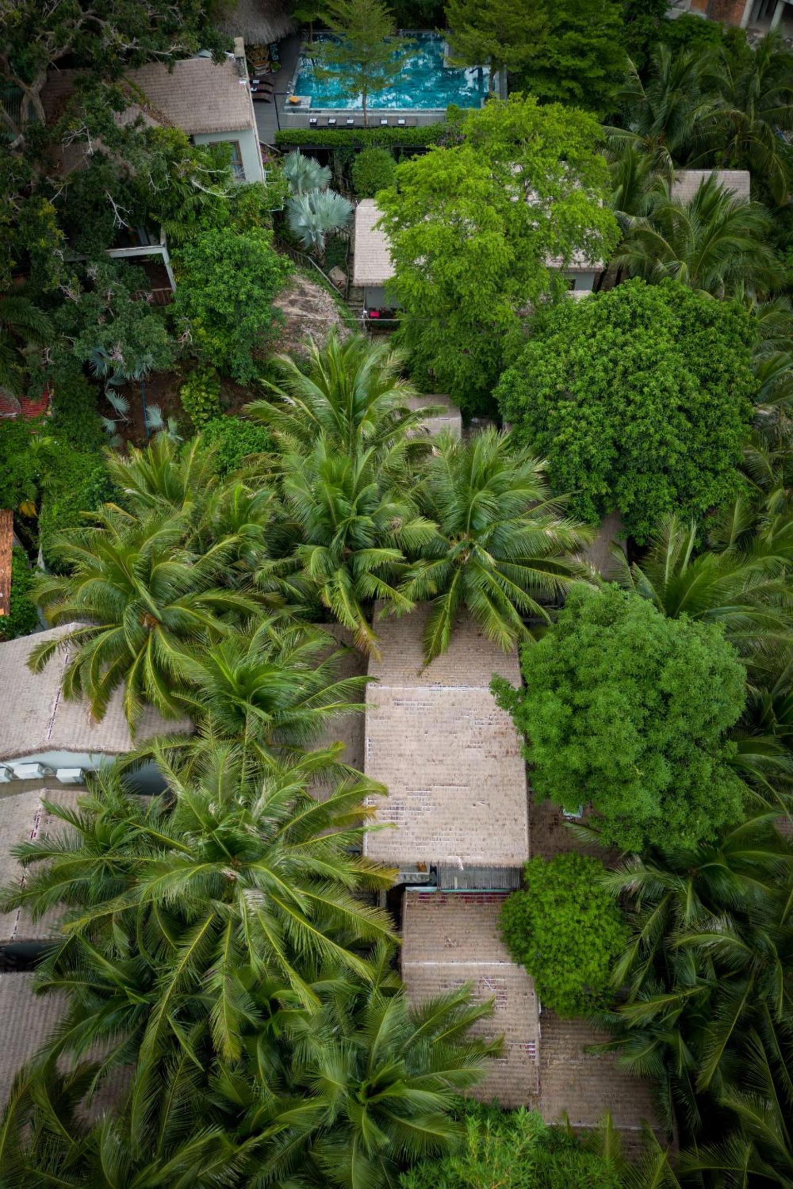 Cozy Double room - Tropical Village - Photo 8