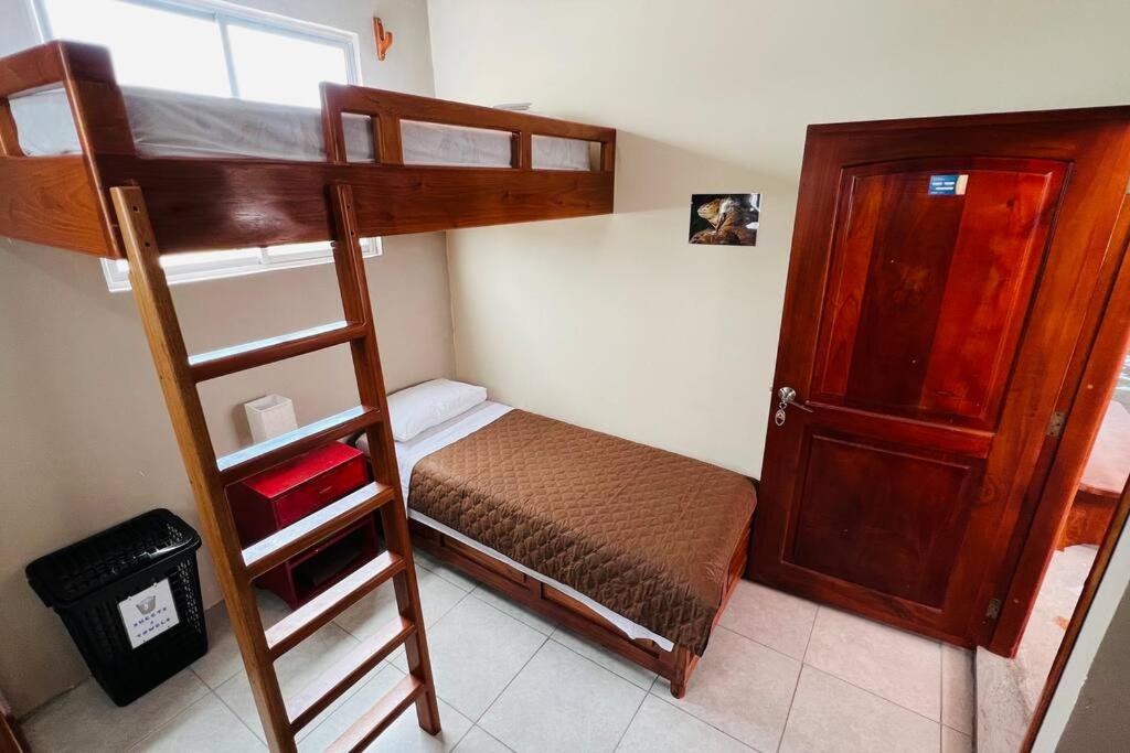 One-Bedroom Apartment photo 3