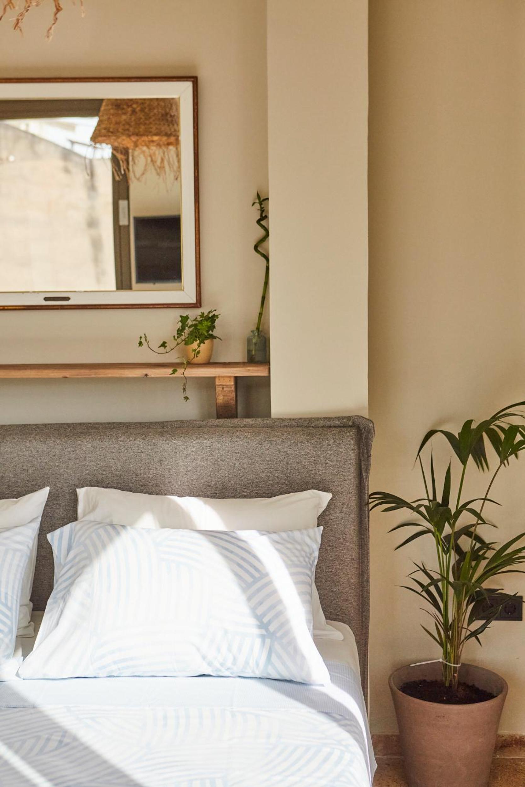 Studio with Balcony photo 1