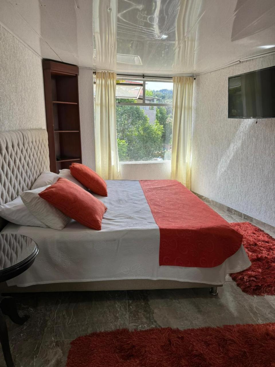 Deluxe Double or Twin Room photo 1