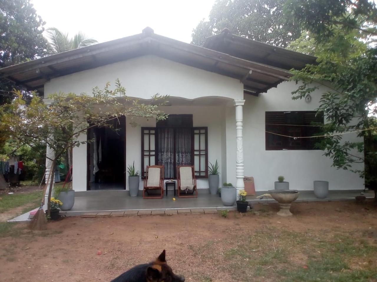 Two-Bedroom Villa photo 2