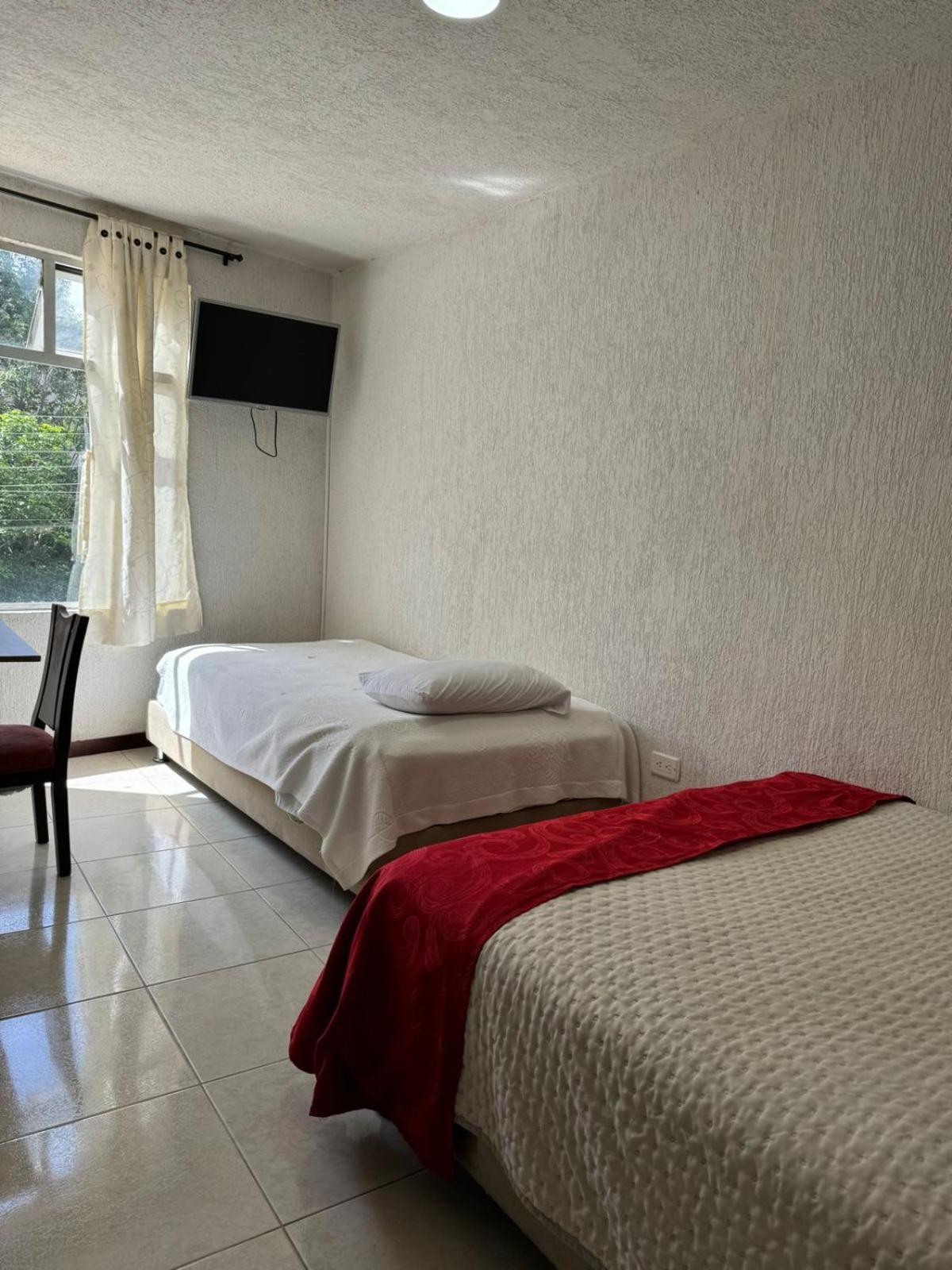 Twin Room photo 2