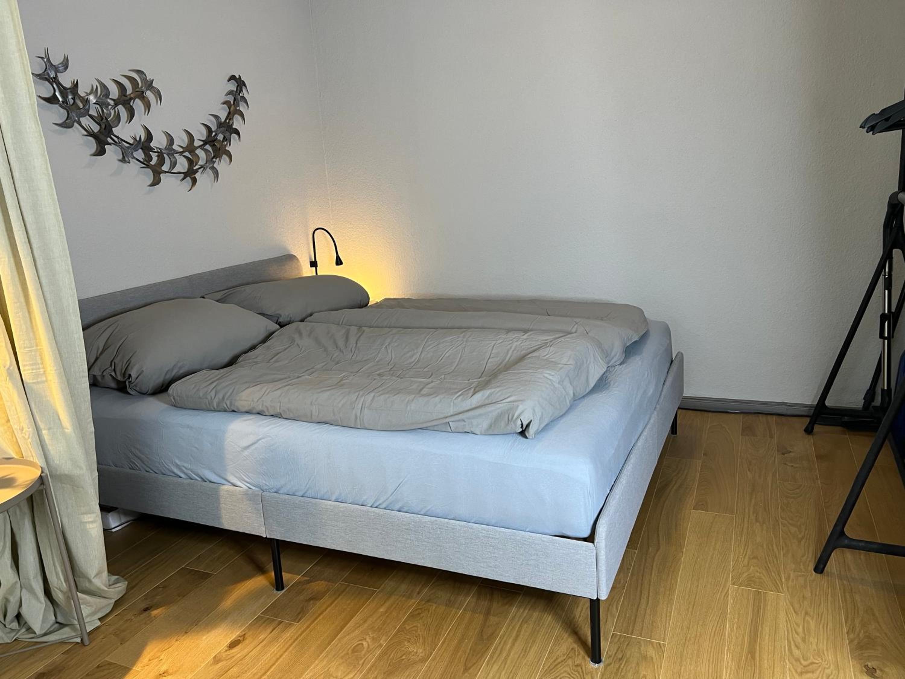 One-Bedroom Apartment photo 3