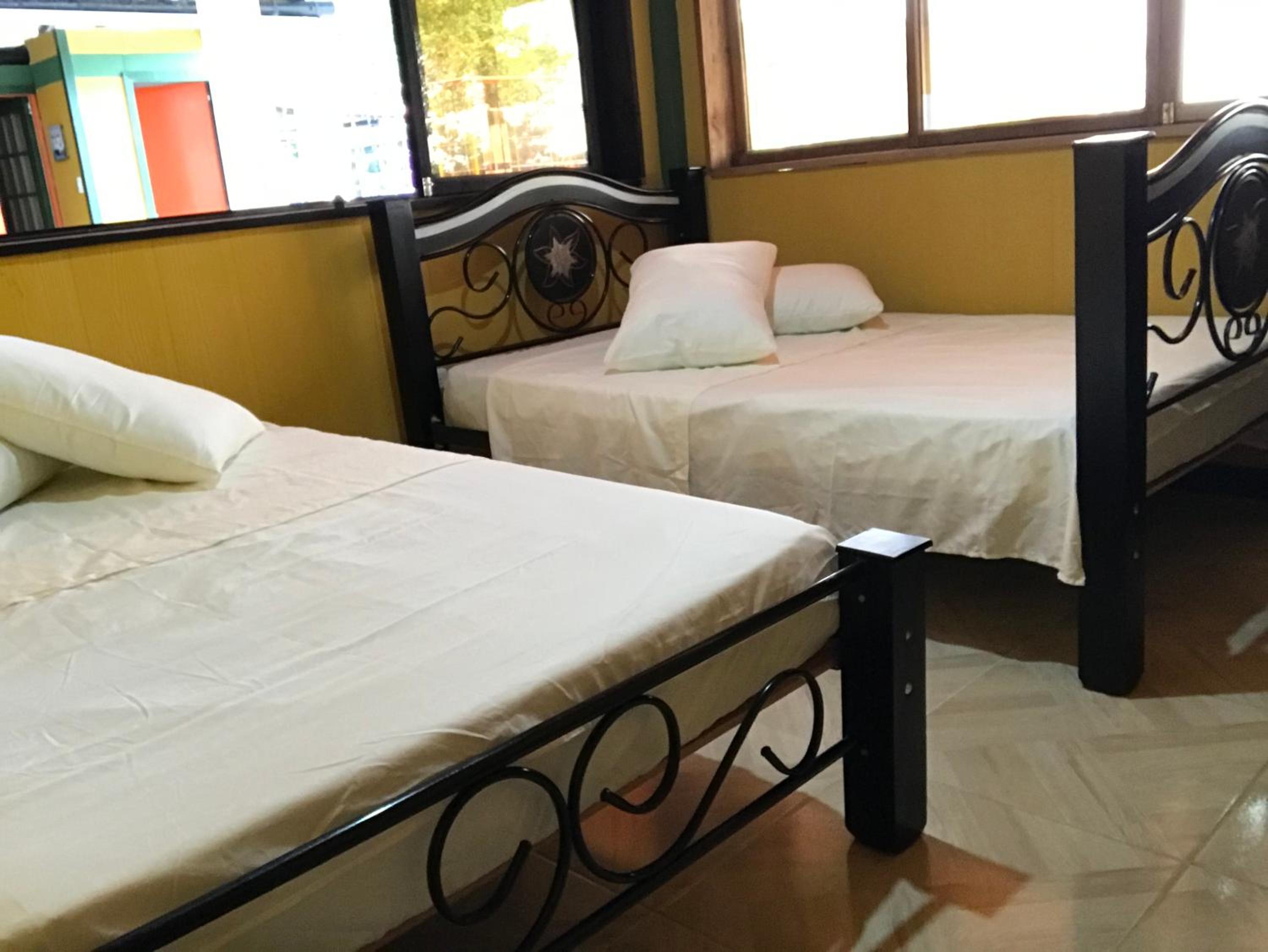 Twin Room photo 1