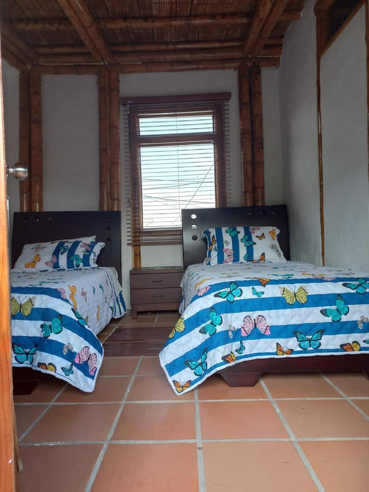 Standard Twin Room photo 1