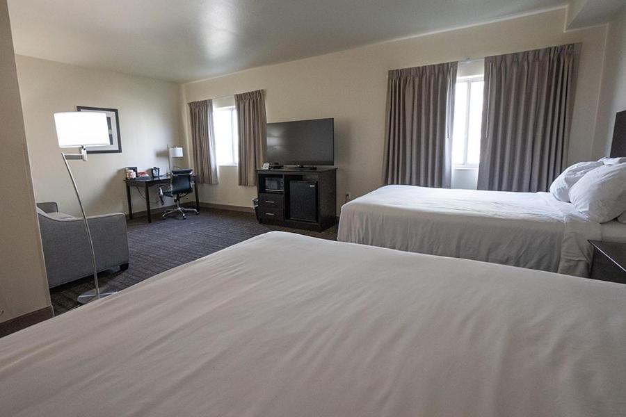 Queen Suite