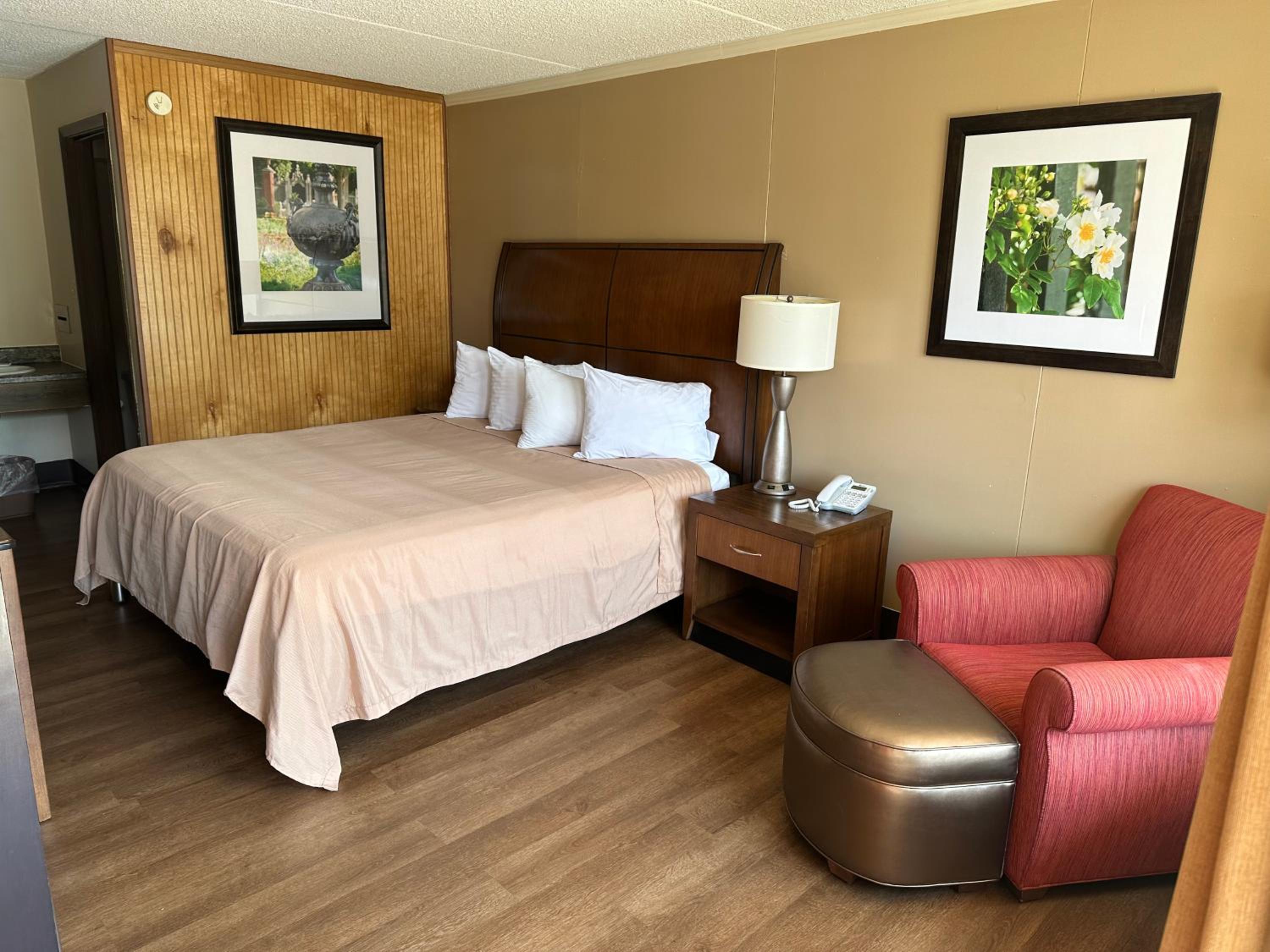 King Room photo 1