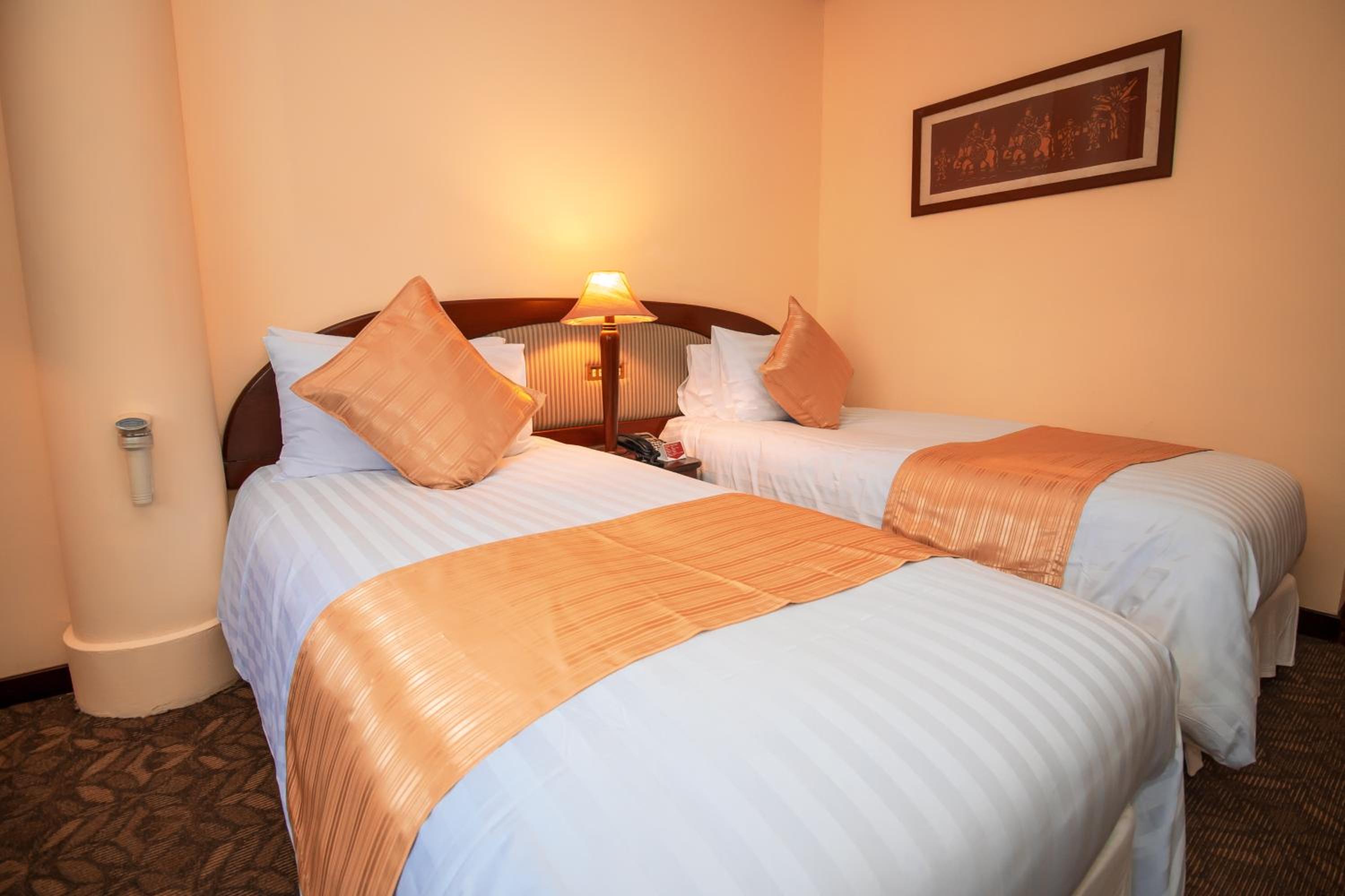 Deluxe Twin Room - Photo 6