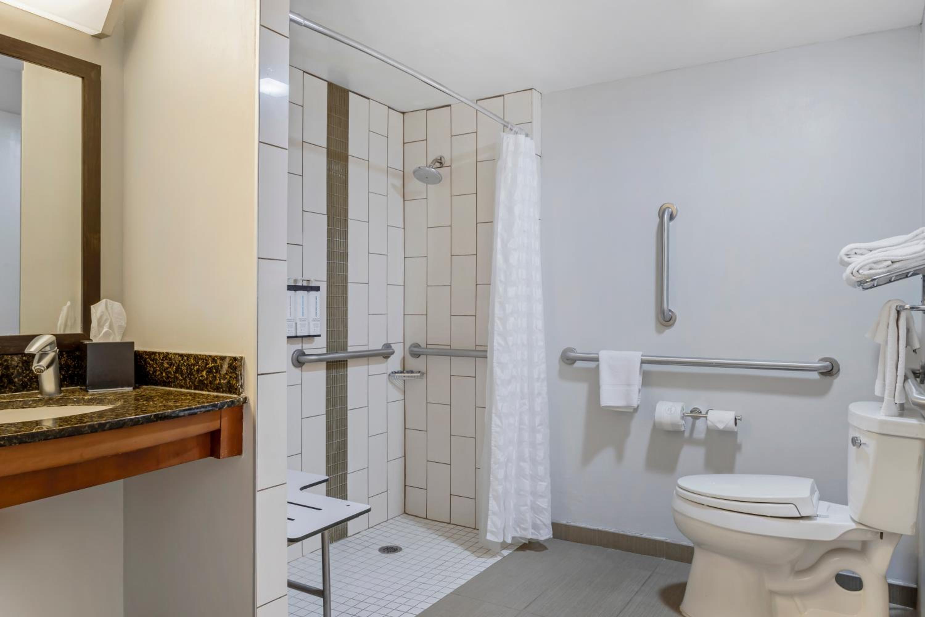 King Room with Sofa Bed and Roll-In Shower - Disability Access - Photo 9