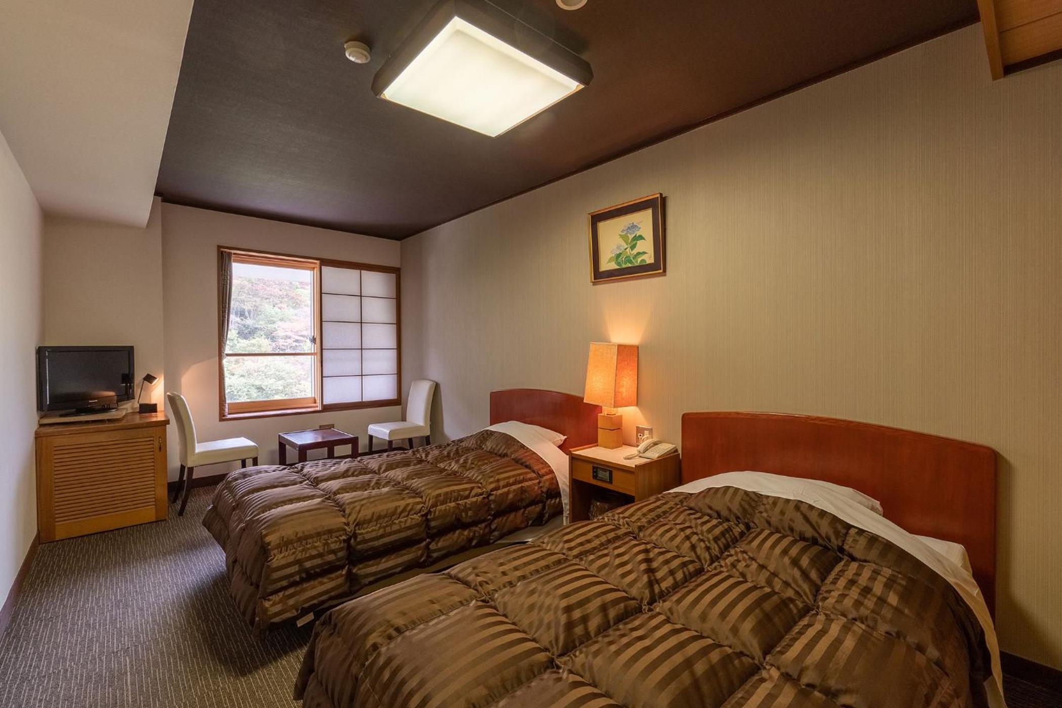 Twin Room - Non-Smoking