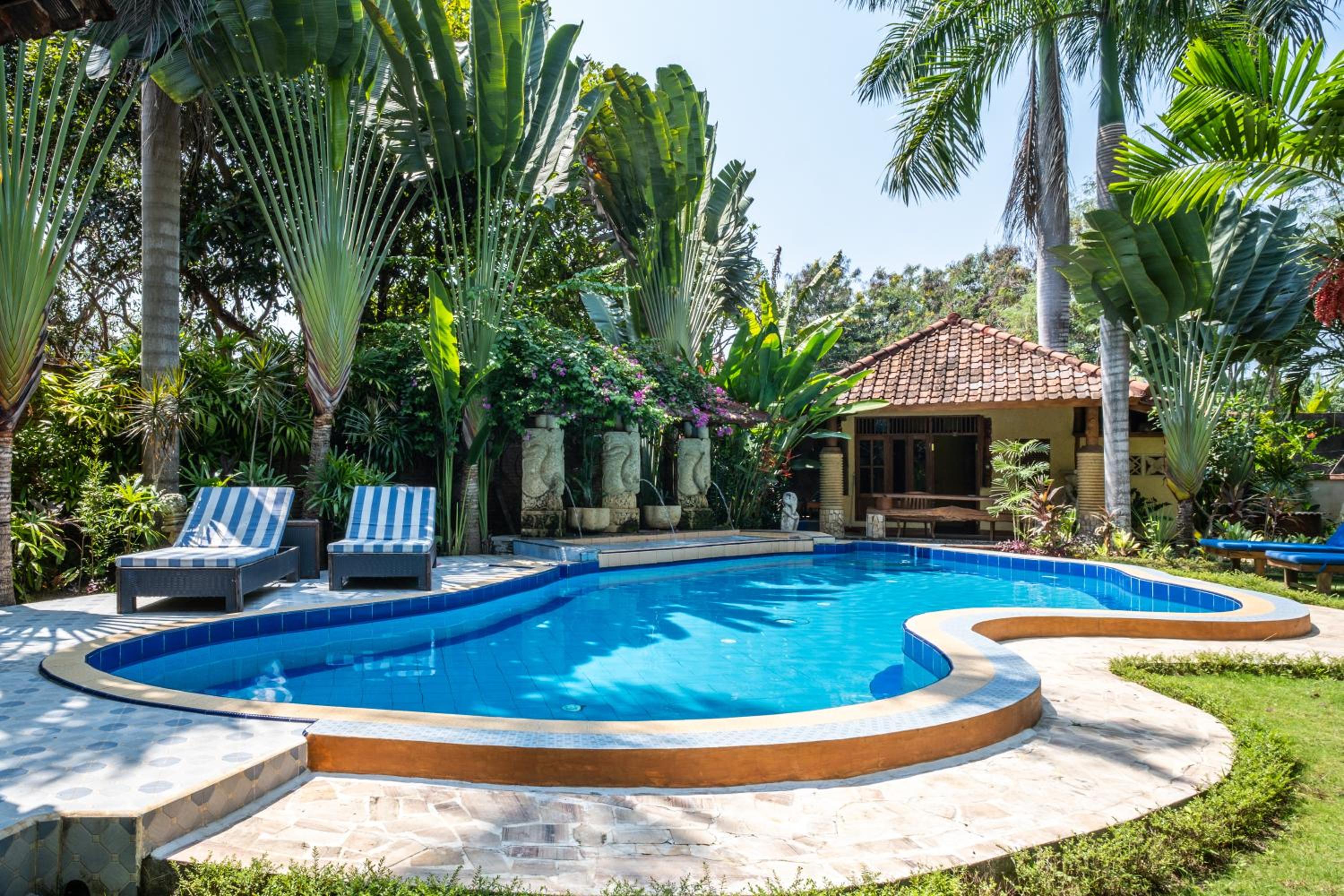 Deluxe Villa photo 3