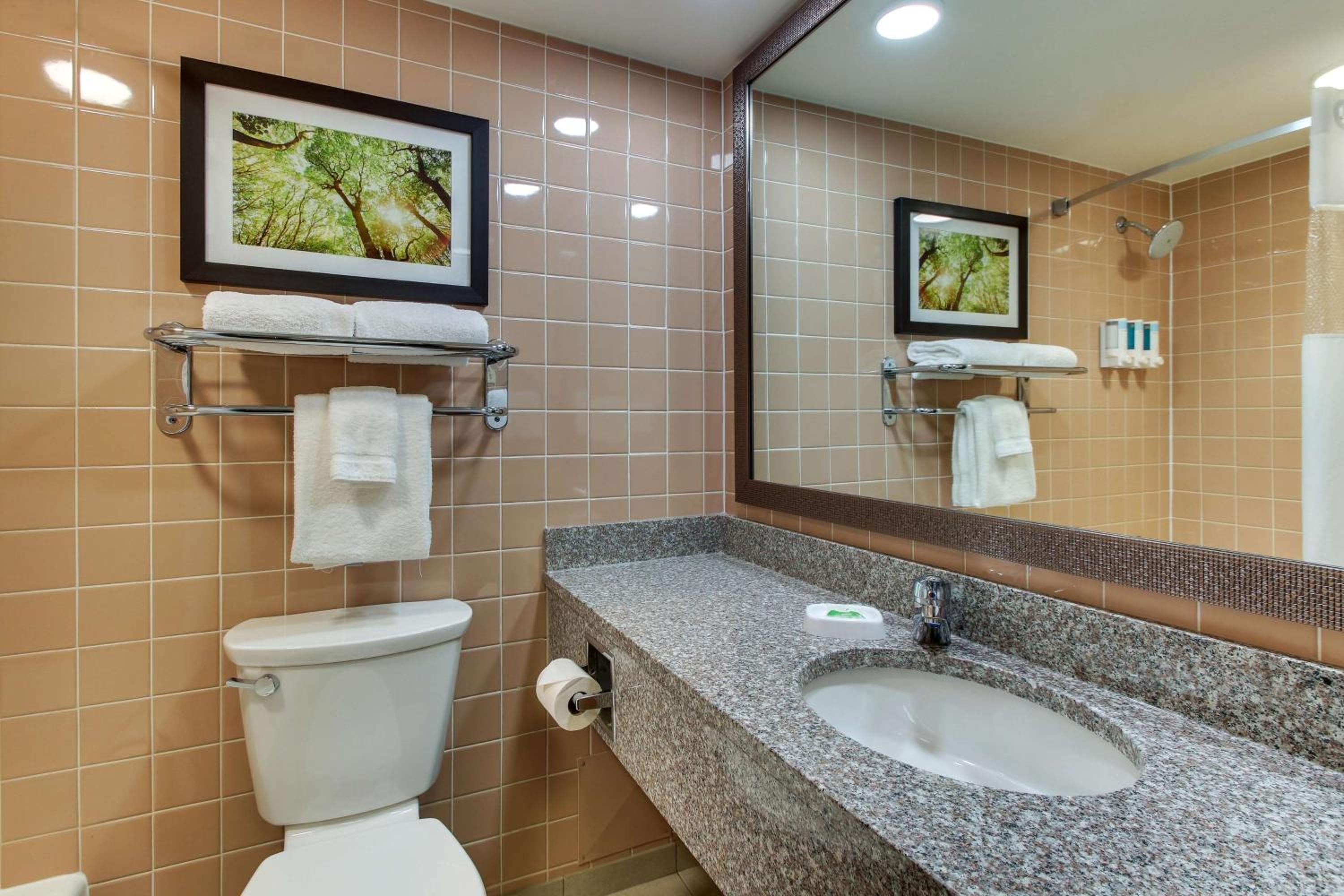 Deluxe King Room photo 2