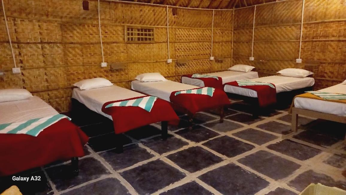 Bed in 8-Bed Mixed Dormitory Room photo 1