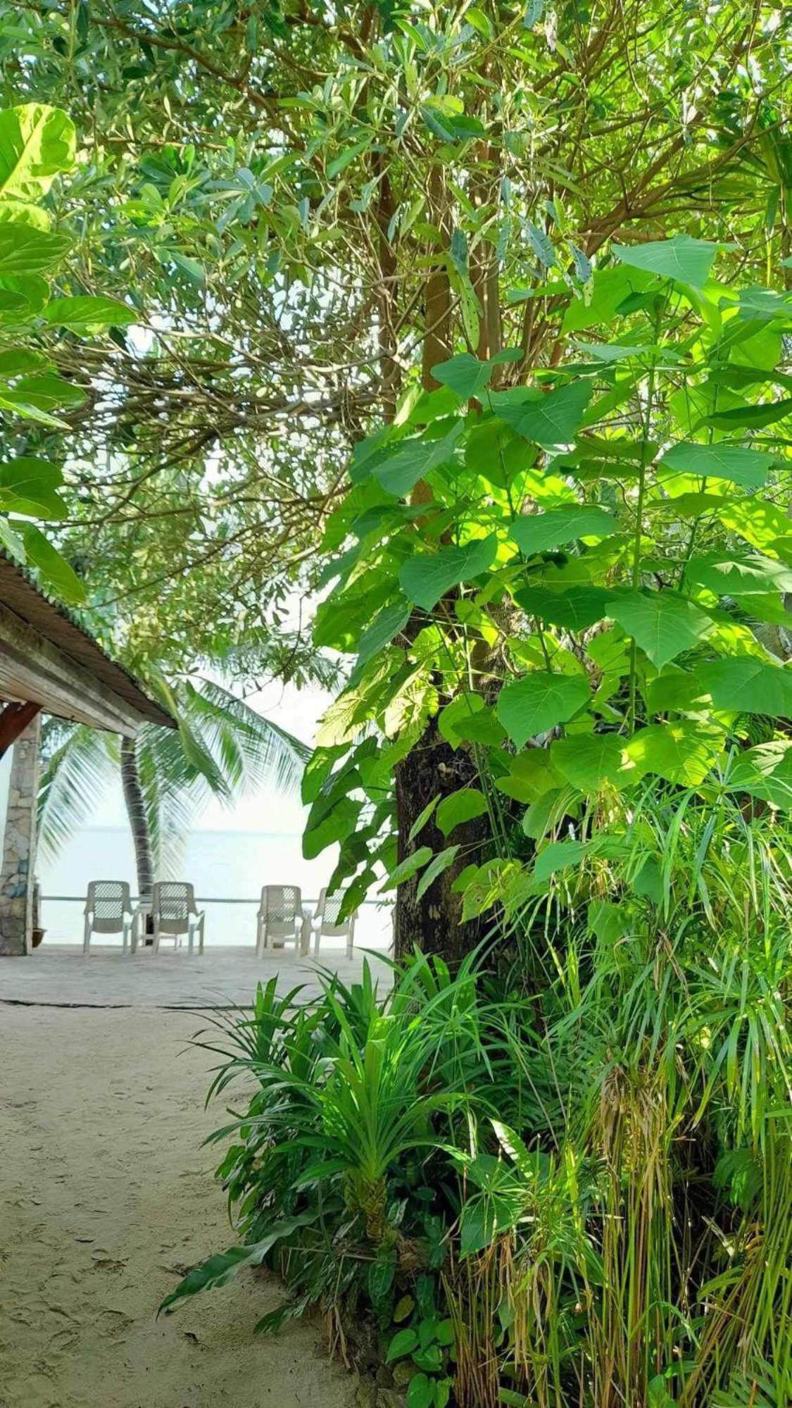 Bungalow with Sea View photo 2