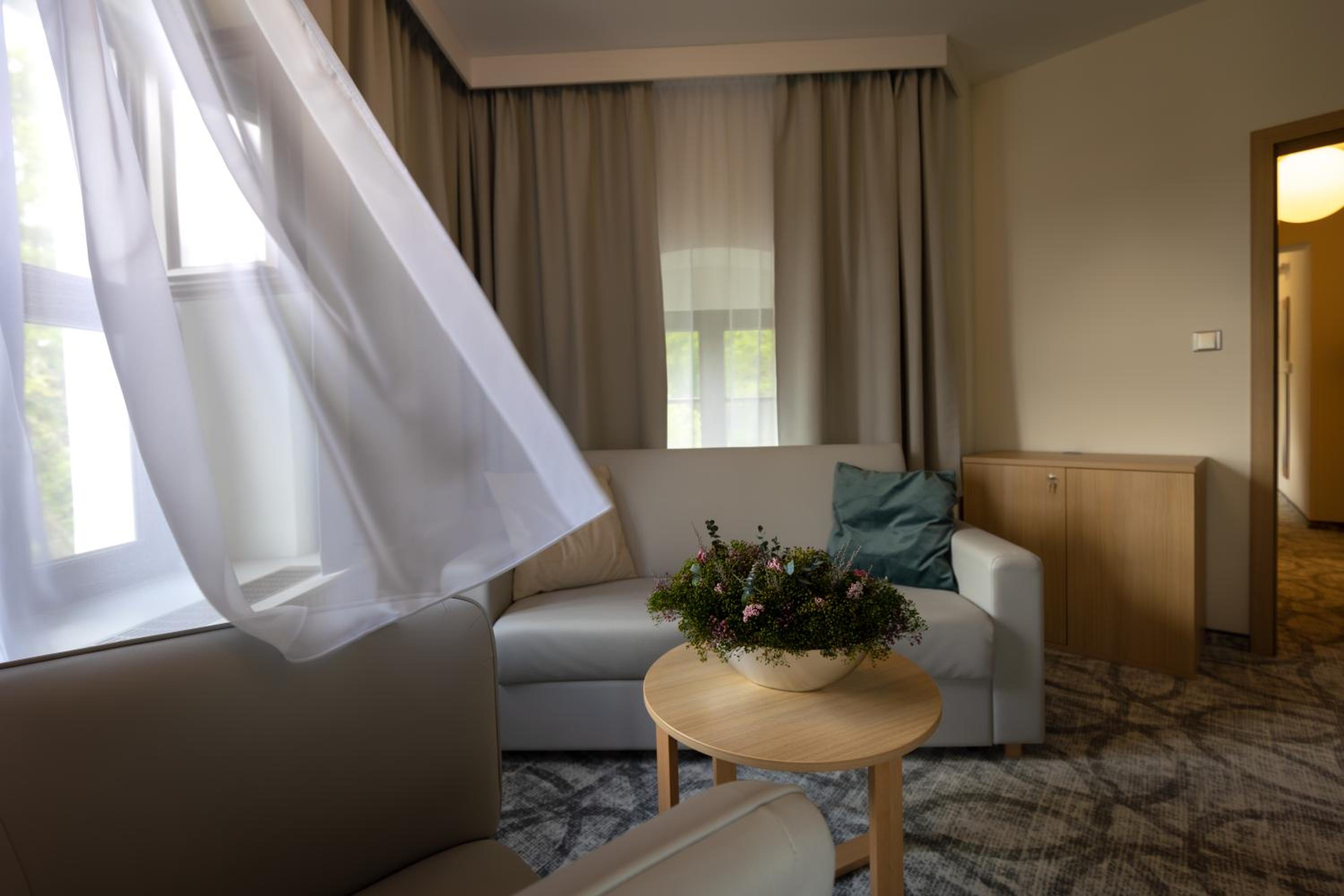 Deluxe King Suite photo 3