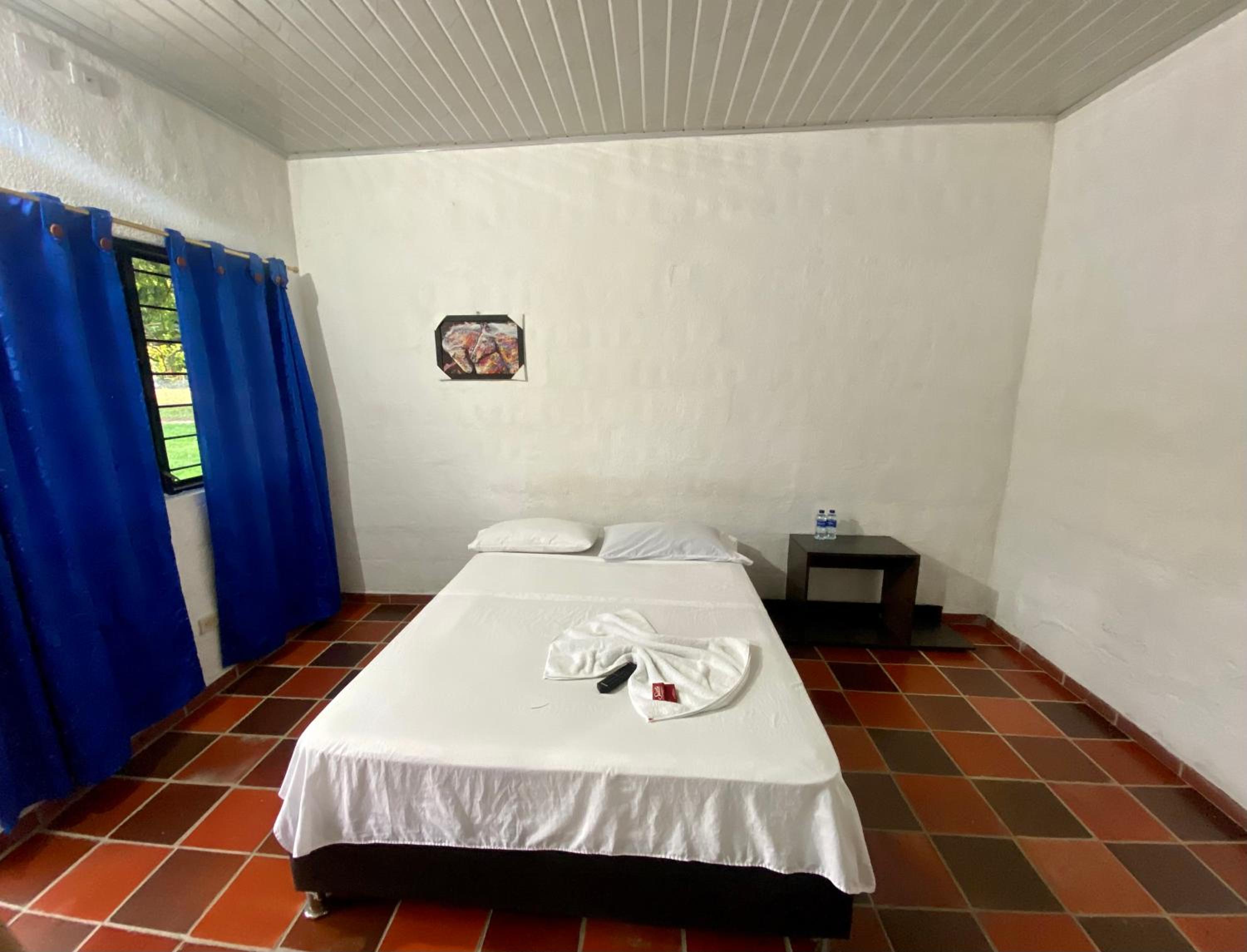 Business Double Room with Gym Access photo 3