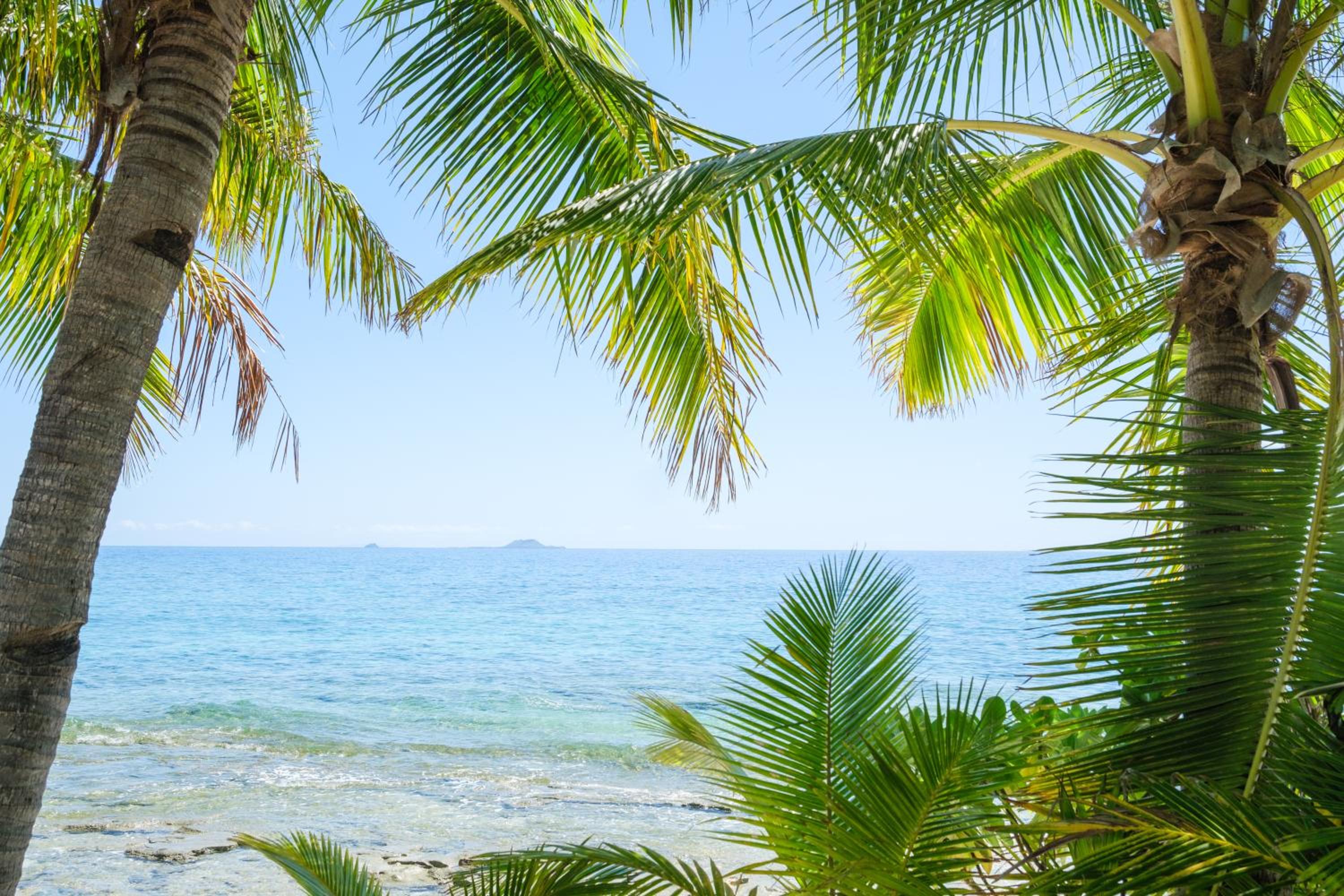 Deluxe Ocean View photo 2