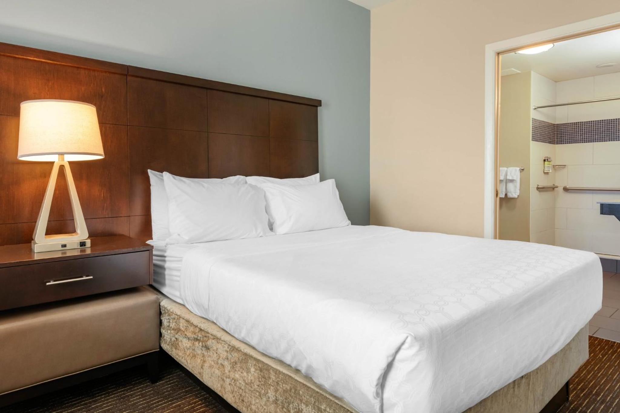 Studio Suite with King Bed - Non-Smoking - Photo 7