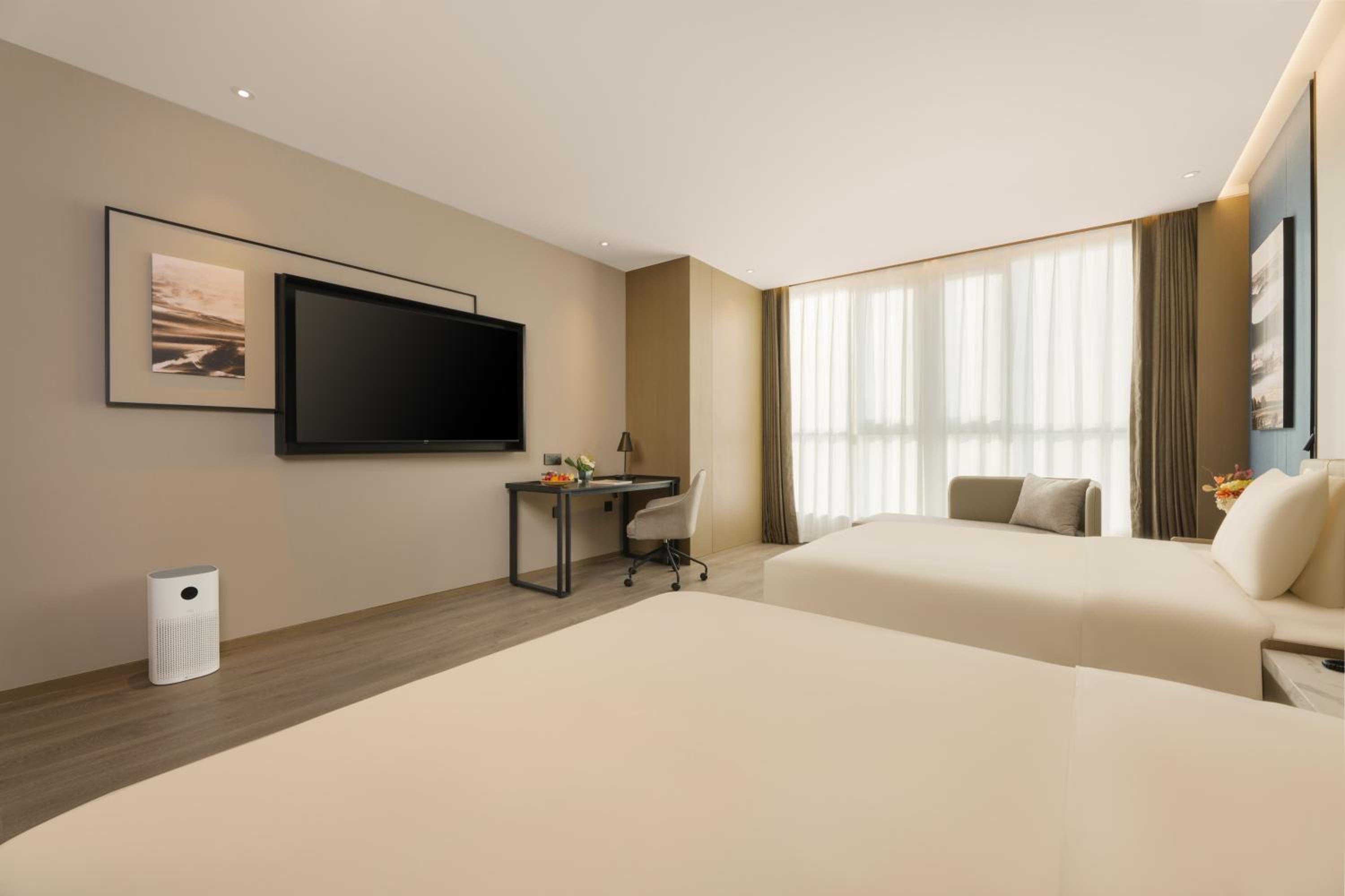 Executive Twin Room photo 1
