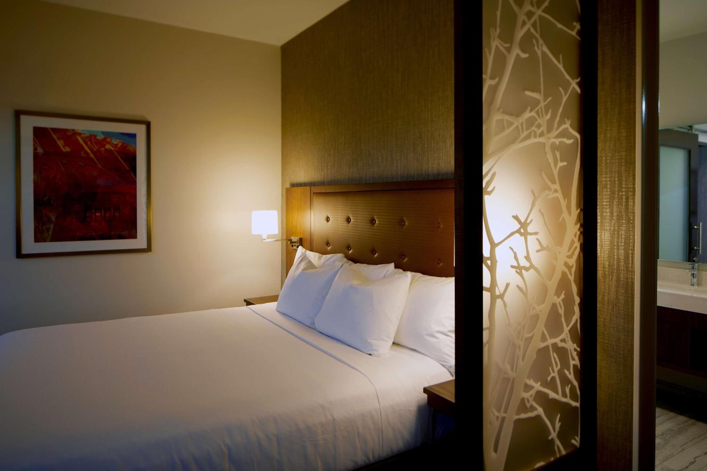 King Room with Sofa Bed and Accessible Shower - Disability Access photo 1