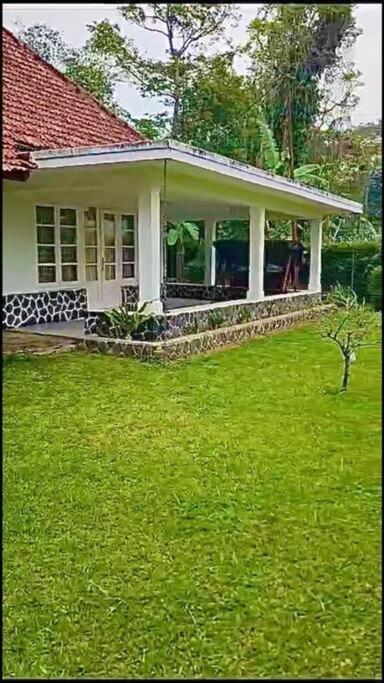 One-Bedroom House photo 3