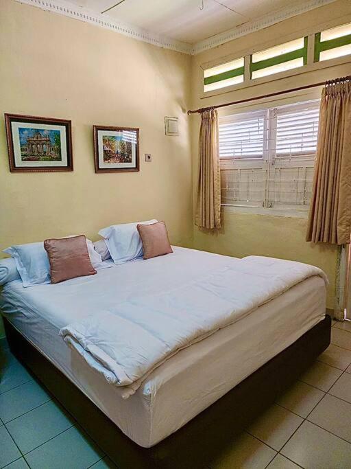One-Bedroom House photo 2