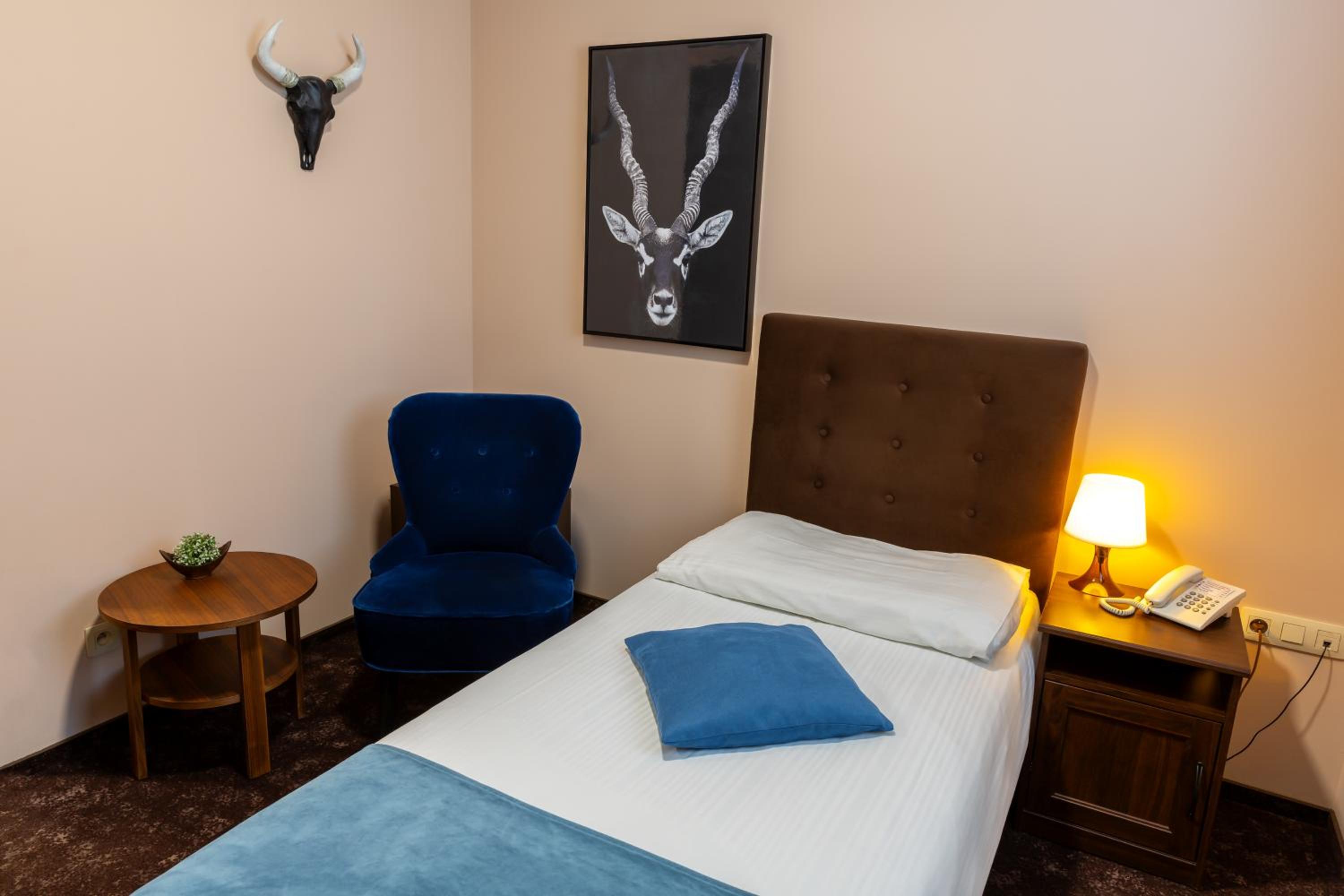 Deluxe Single Room photo 3