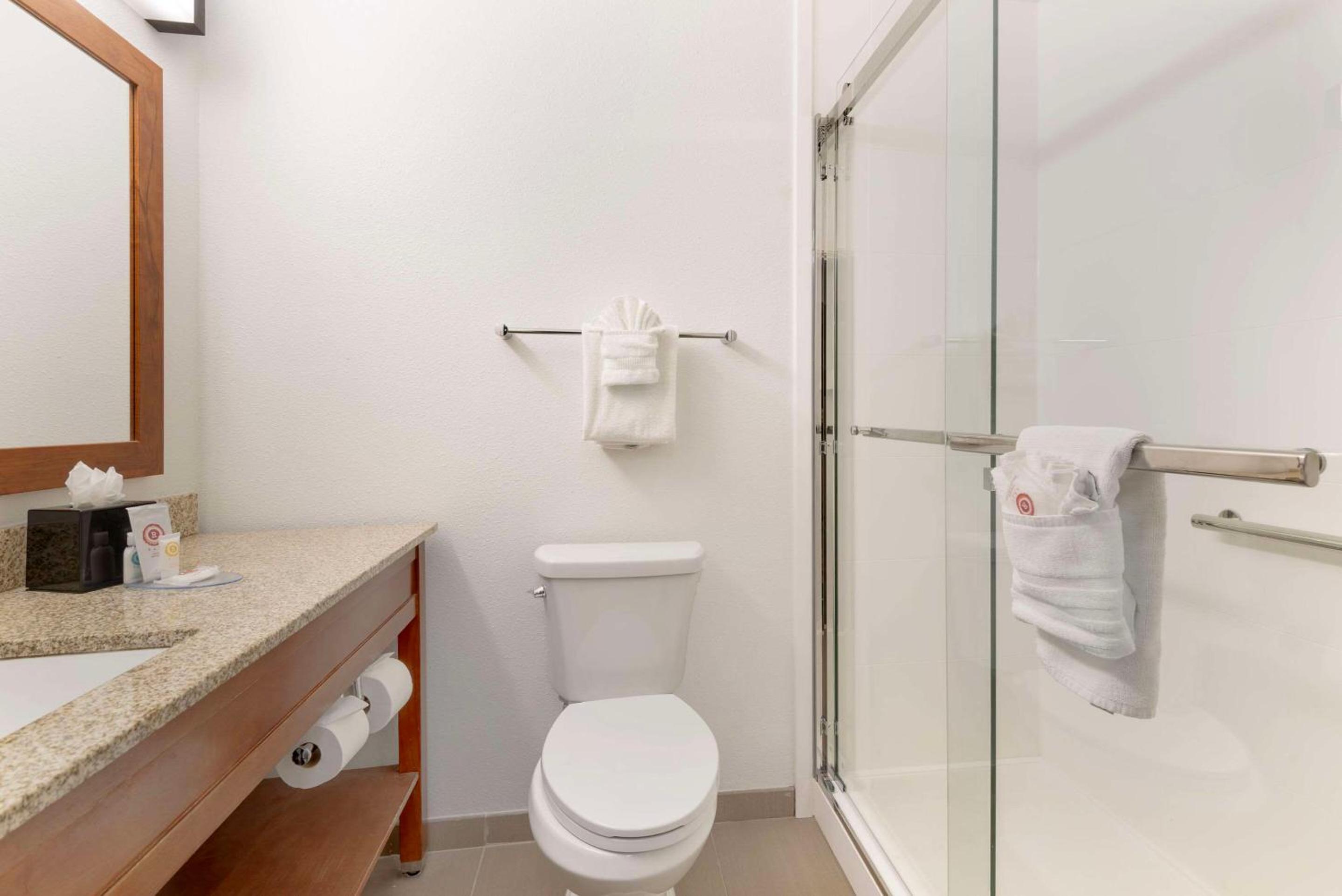 King Room - Non-Smoking - Photo 10