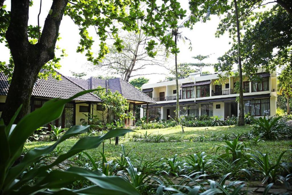 Superior Room with Garden View photo 3