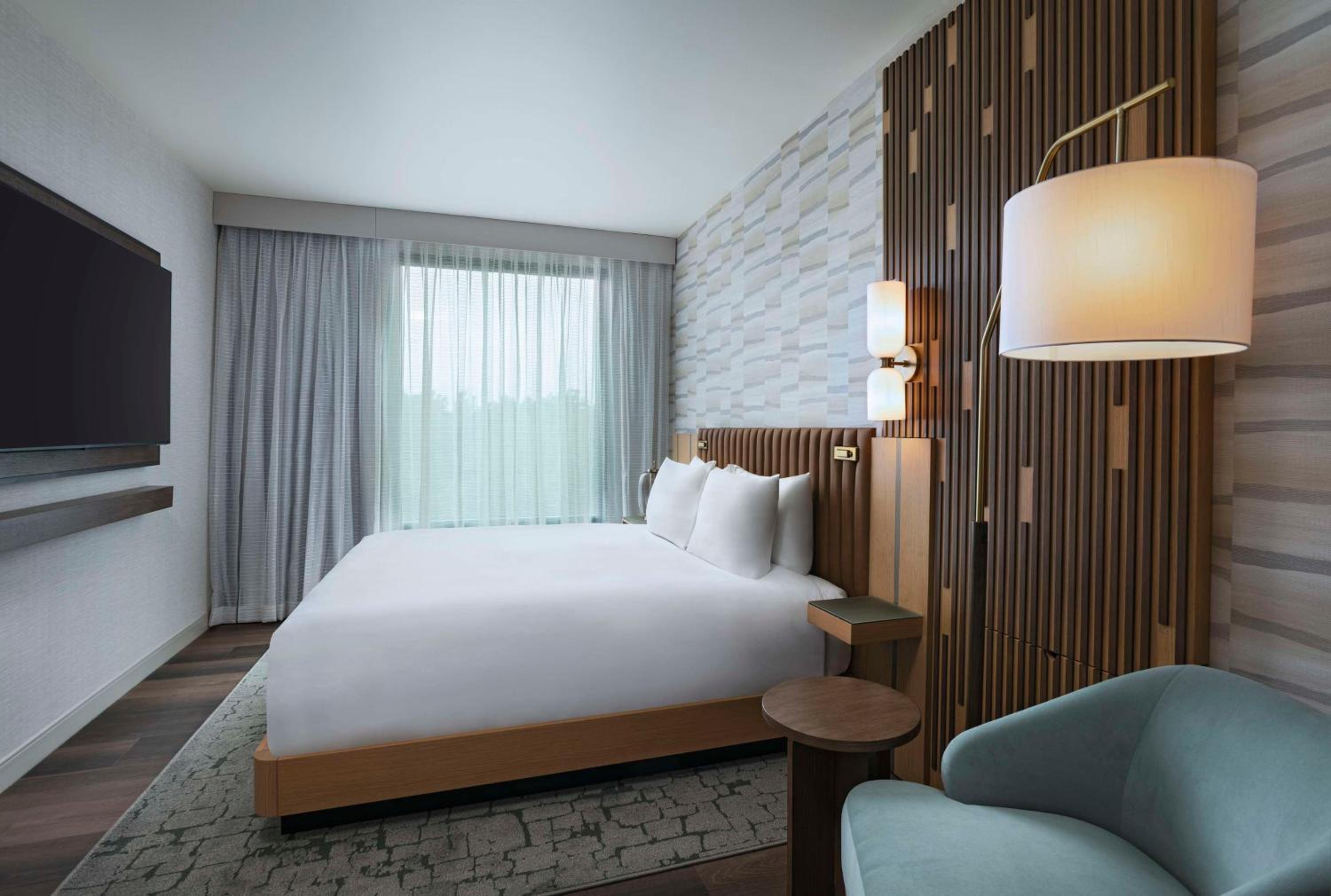 Suite - Photo 1