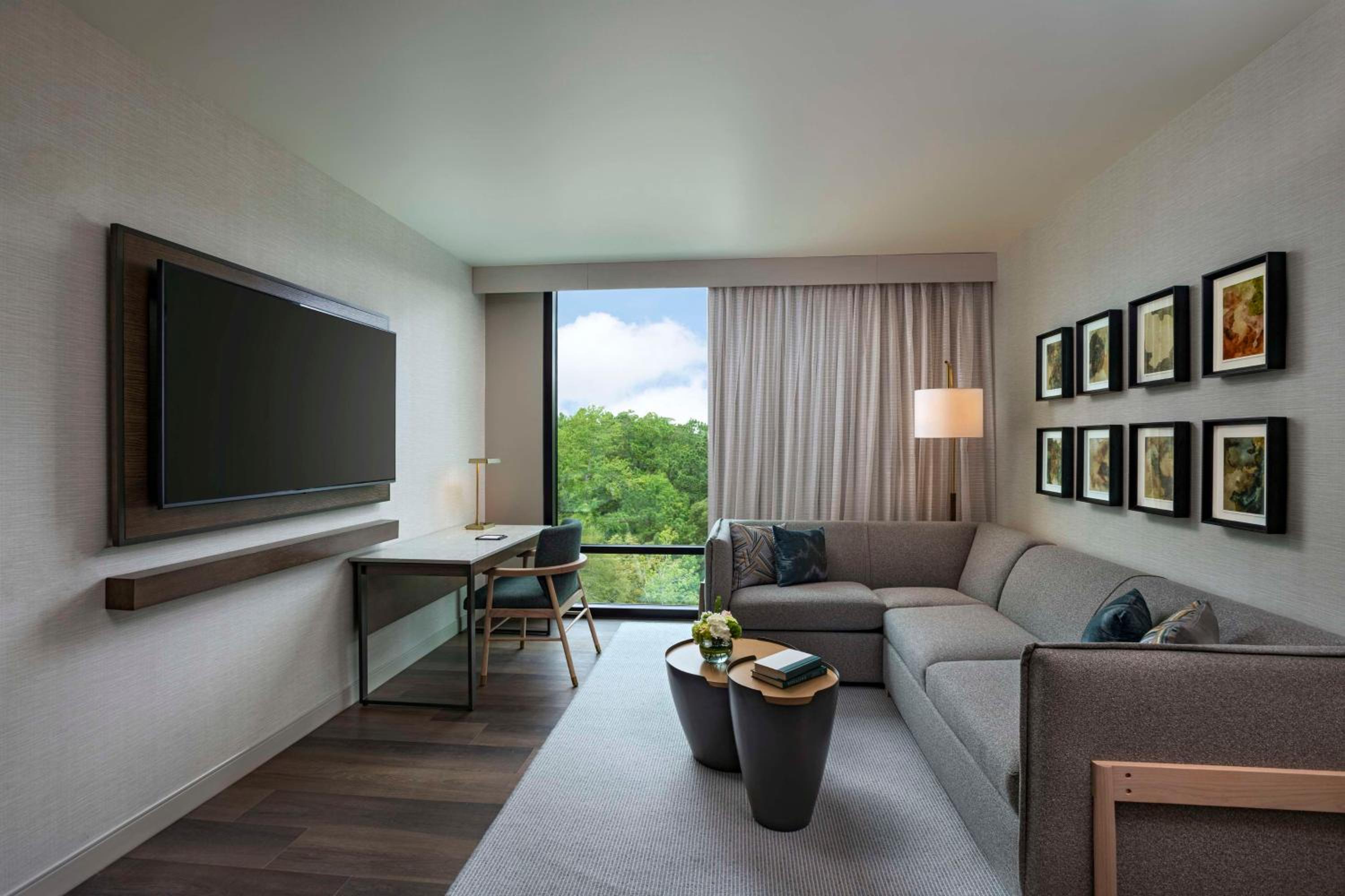 Premium Suite - Photo 1