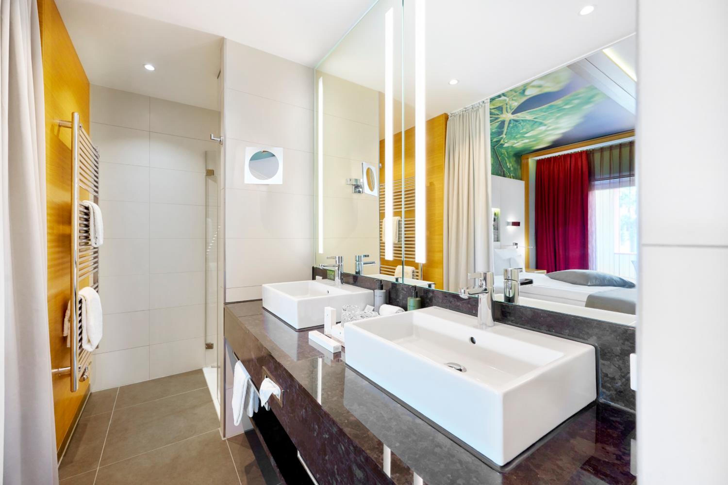 Deluxe Double or Twin Room photo 3
