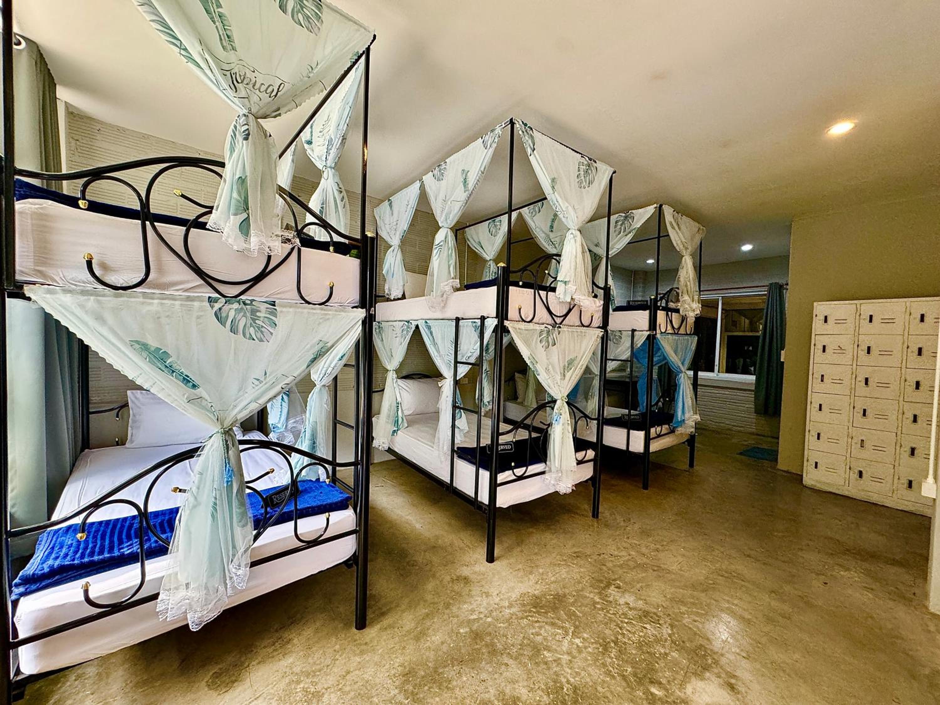 Bunk Bed in Mixed Dormitory Room photo 1