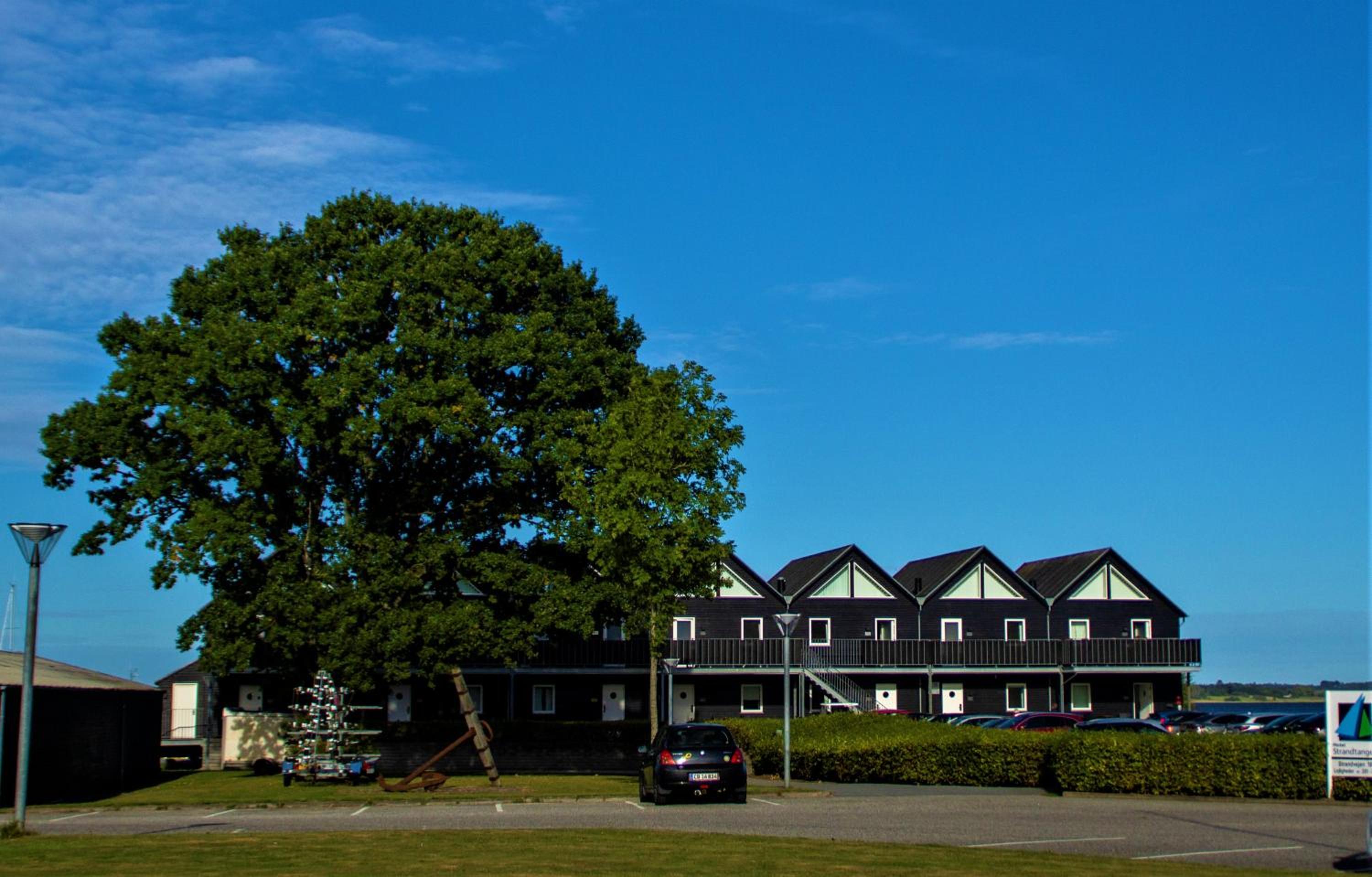 Lejlighed med udsigt til vandet,  stueetage. Max 4 pers. - Photo 16