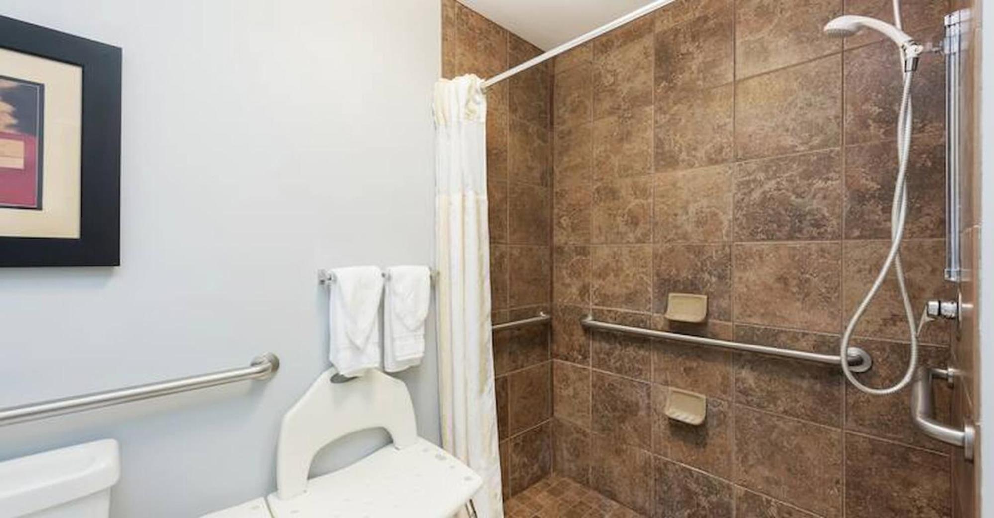 King Room Mobility/Accessible with Roll in Shower