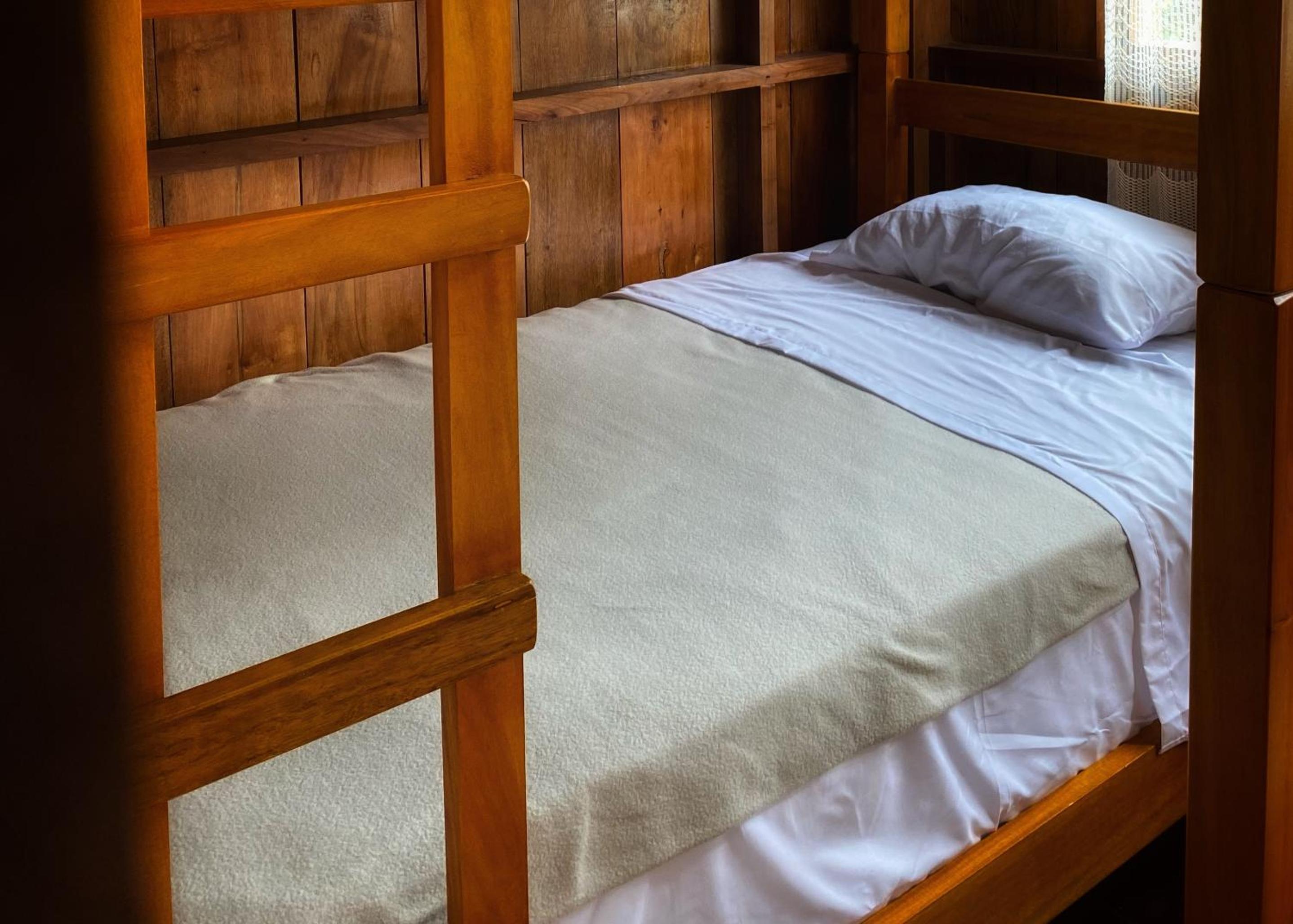 Single Bed In Mixed Dormitory Room photo 3