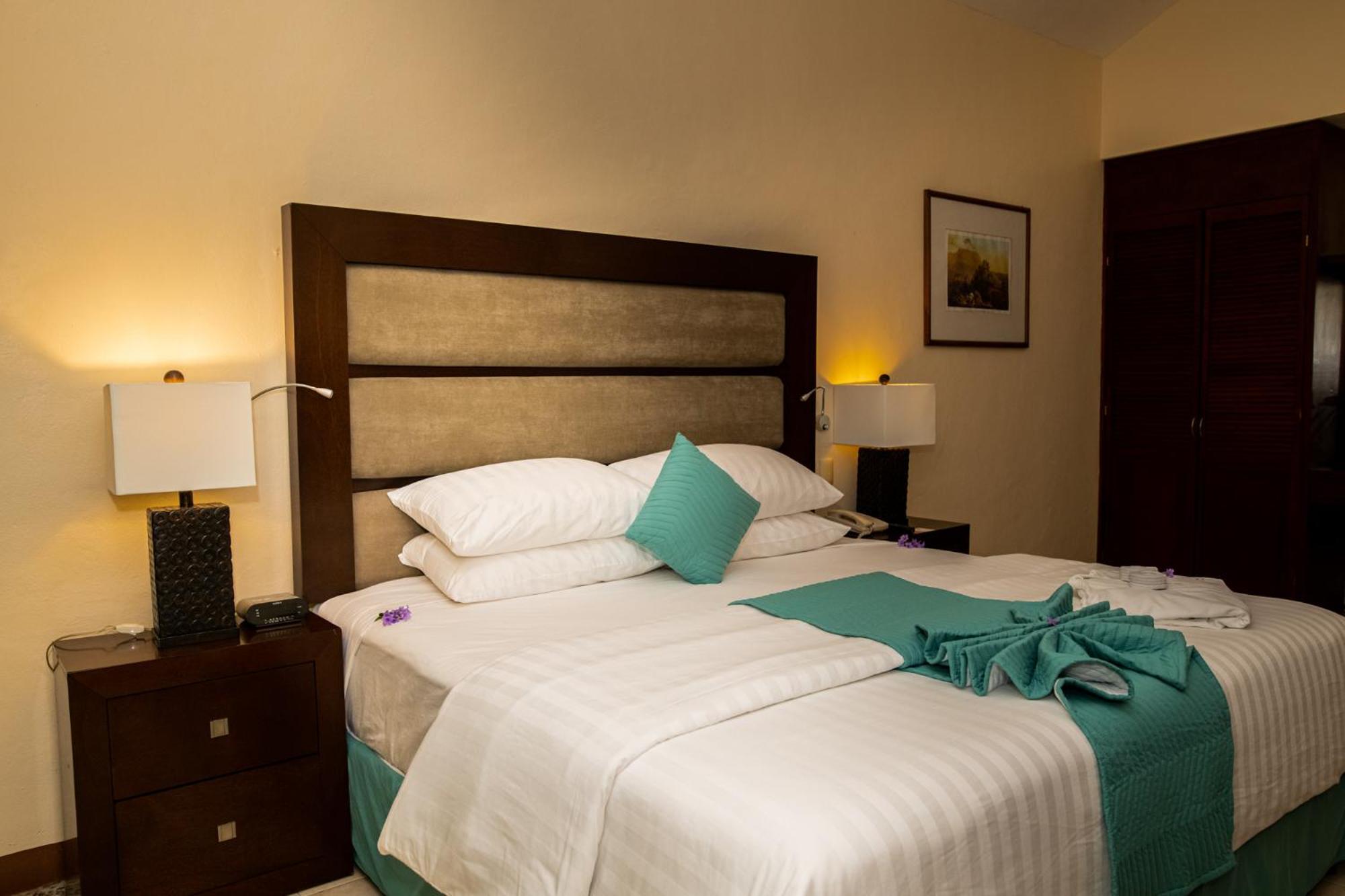 Deluxe King Suite - Photo 1