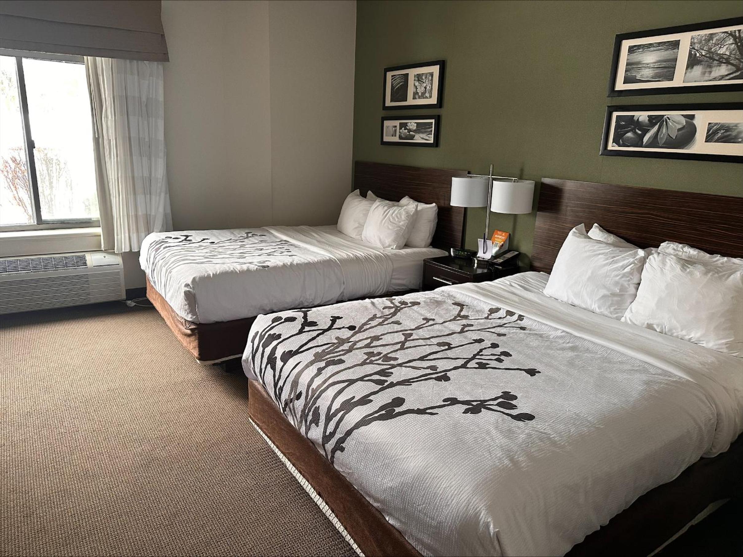 King Room - Non-Smoking - Photo 1