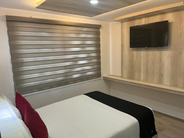 Junior Suite photo 1