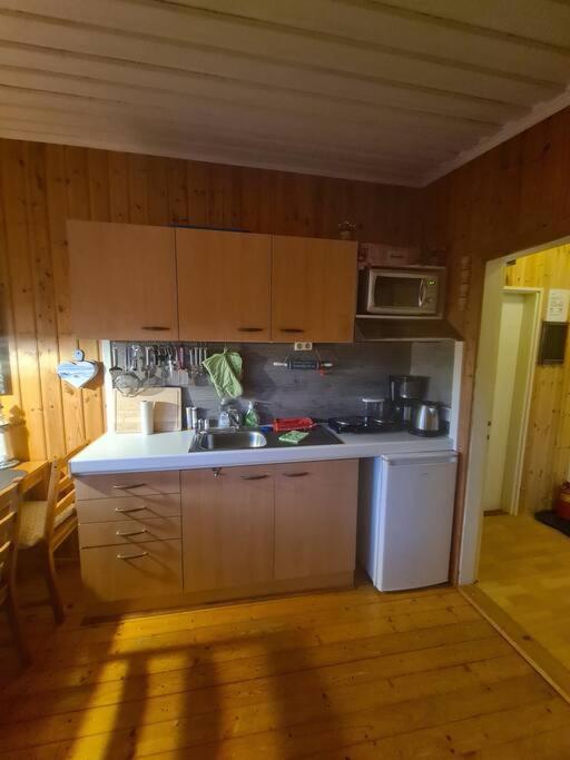 One-Bedroom House photo 3