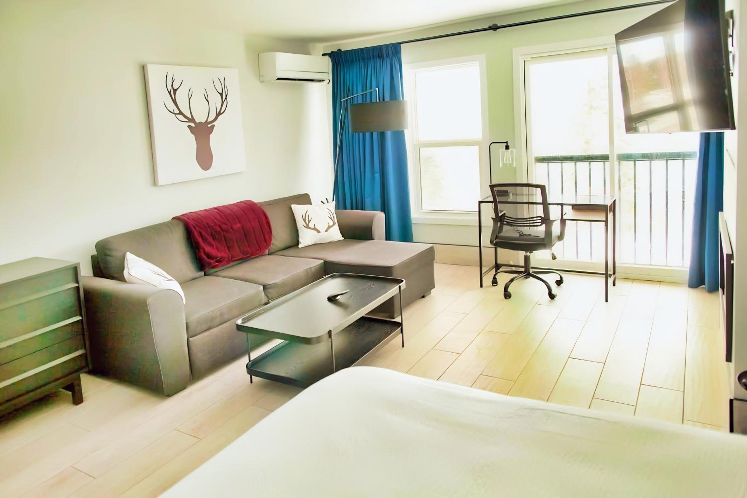 Studio With Sofa Bed photo 3