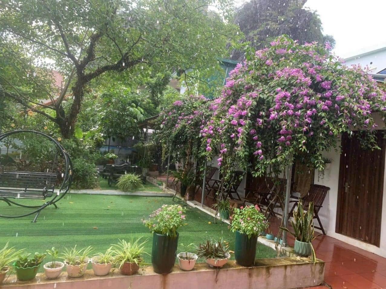Queen Room With Garden View photo 2