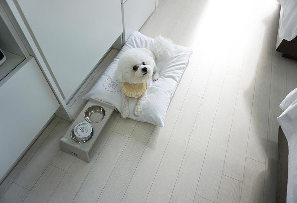 Twin Room - Pet Friendly - Photo 5