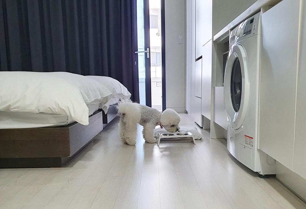 Twin Room with City View - Pet Friendly - Photo 9