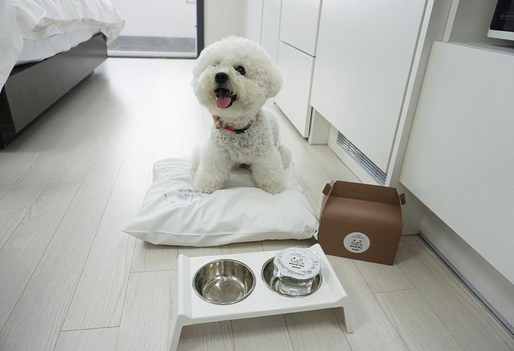 Twin Room with City View - Pet Friendly - Photo 10