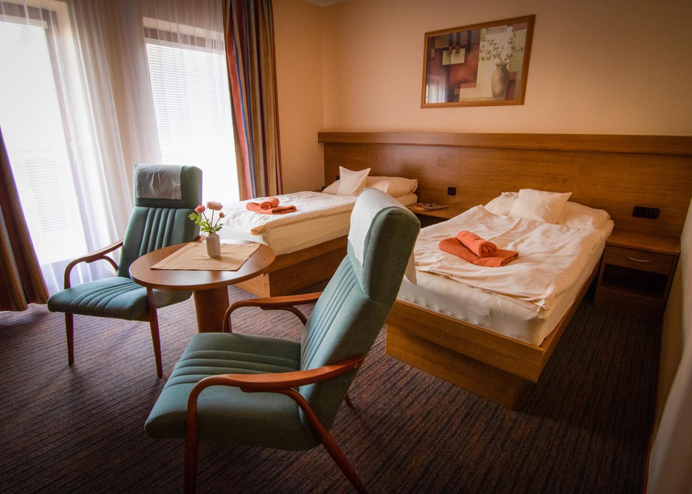 Comfort Double or Twin Room with Spa Package in Palace II, photo 6